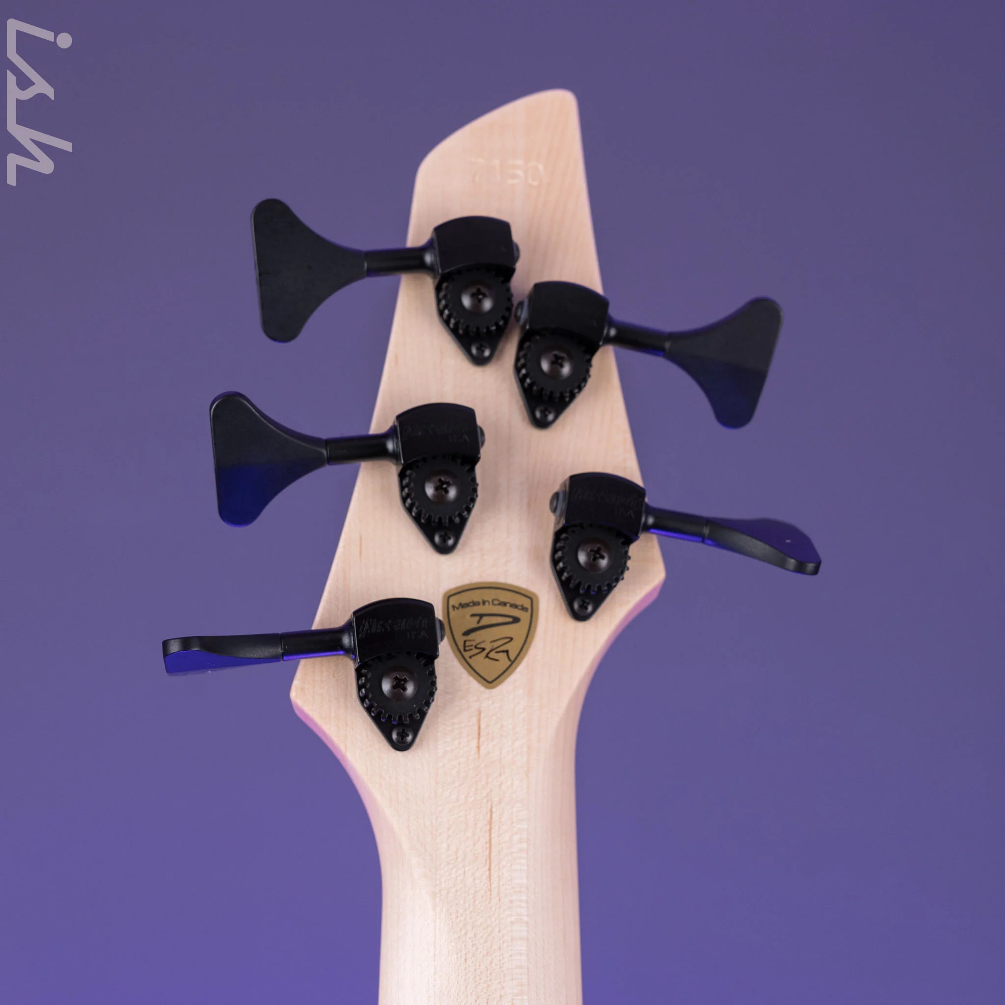 Dingwall Z Series 5-String Bass Northern Ash/Alder Frost Metallic - Image 10