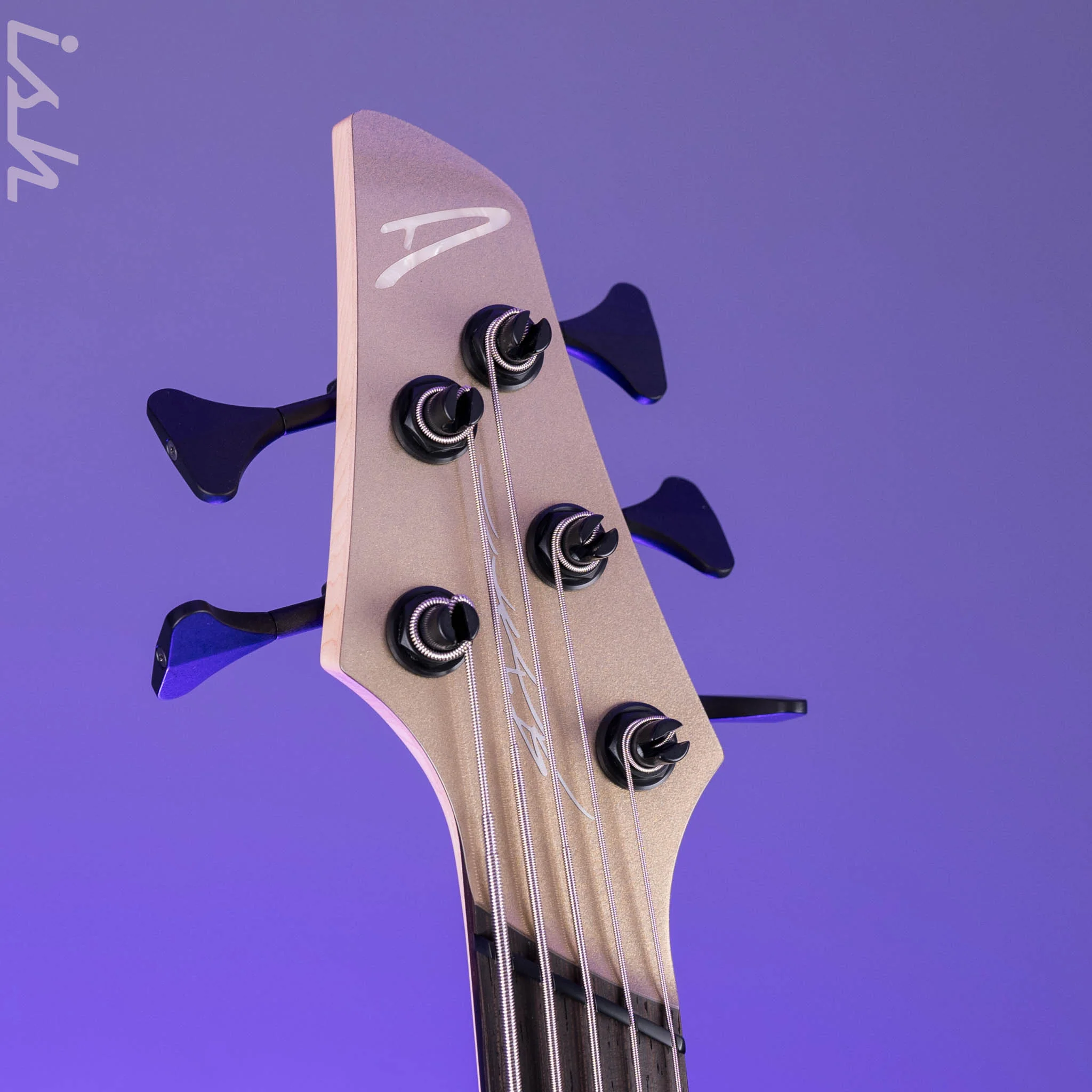 Dingwall Z Series 5-String Bass Northern Ash/Alder Frost Metallic - Image 5