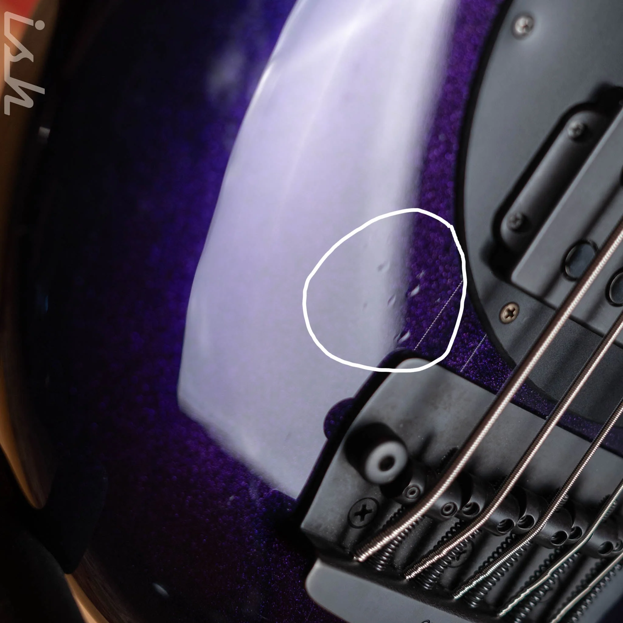 2018 Ernie Ball Music Man Bongo 5 String Limited Edition Barolo Purple - Image 6