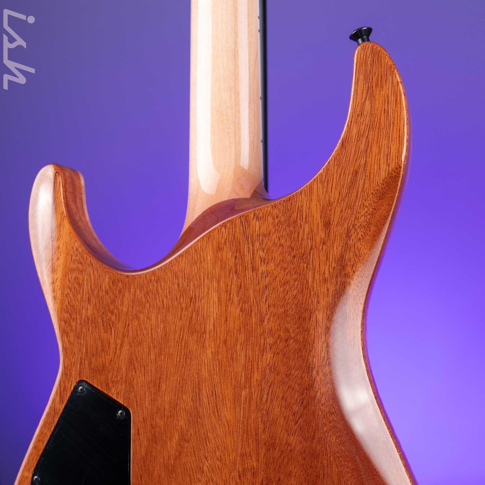ESP USA Horizon-II Cranberry Sunburst - Image 8