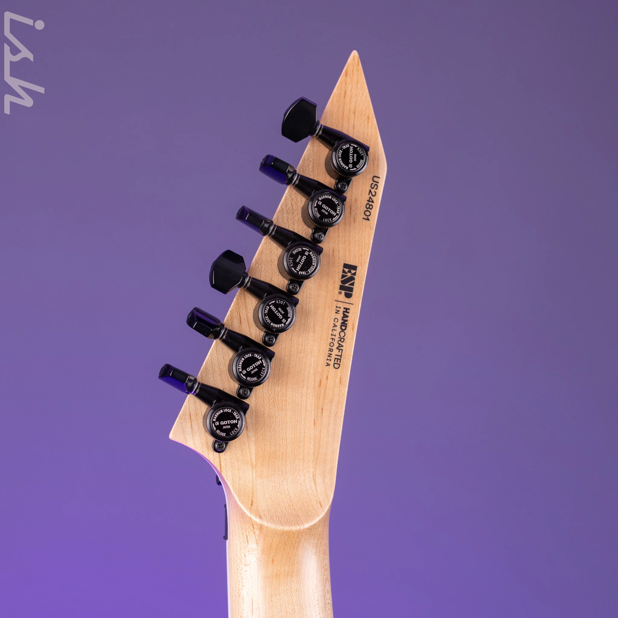 ESP USA M-I DX FR Satin Natural Zebrawood - Image 11
