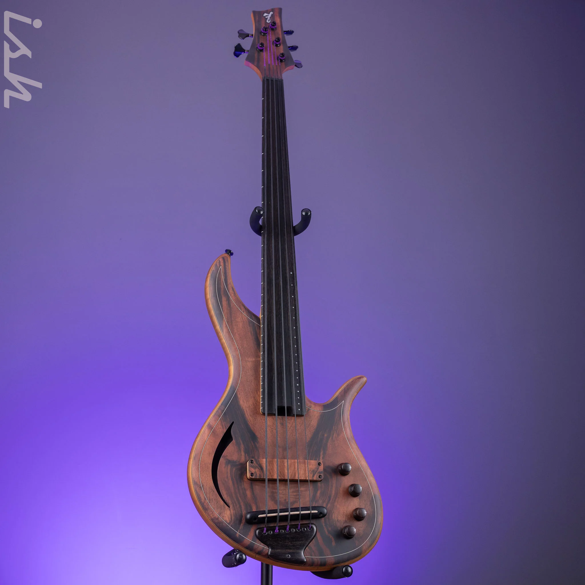 F Bass AC5-Classic Fretless Amara Ebony Top - Image 2