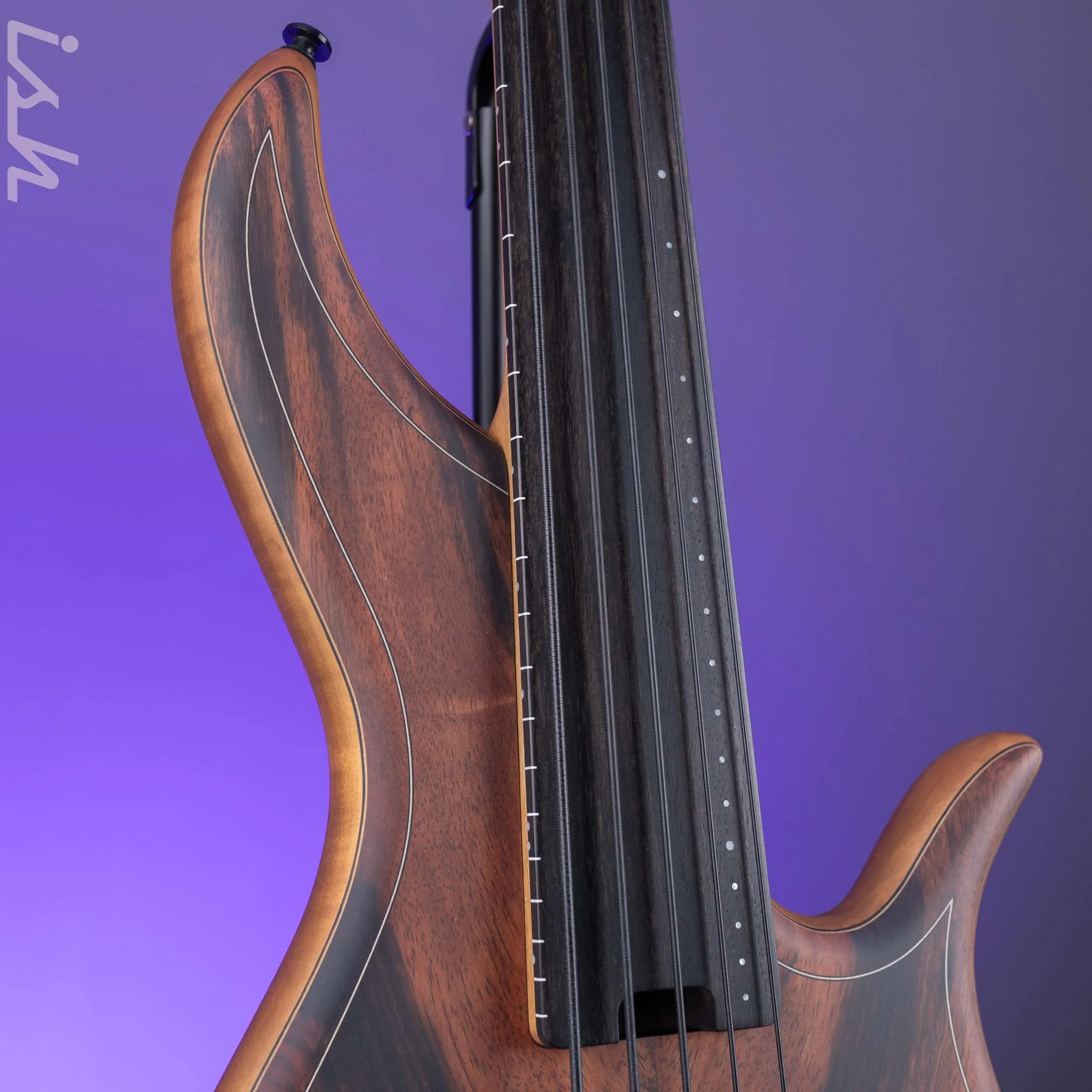 F Bass AC5-Classic Fretless Amara Ebony Top - Image 3