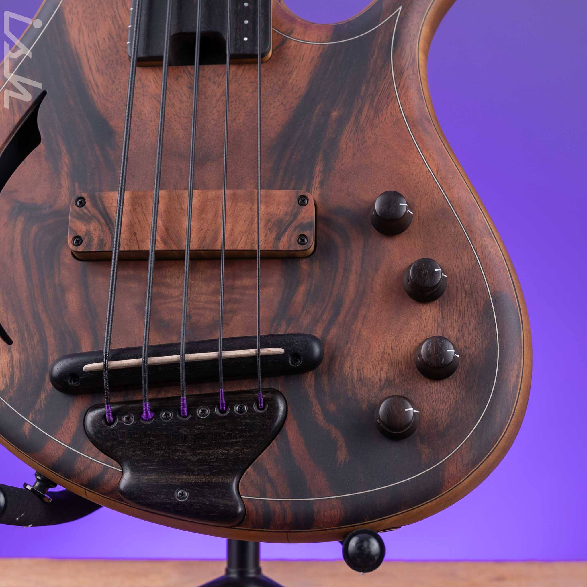 F Bass AC5-Classic Fretless Amara Ebony Top - Image 4