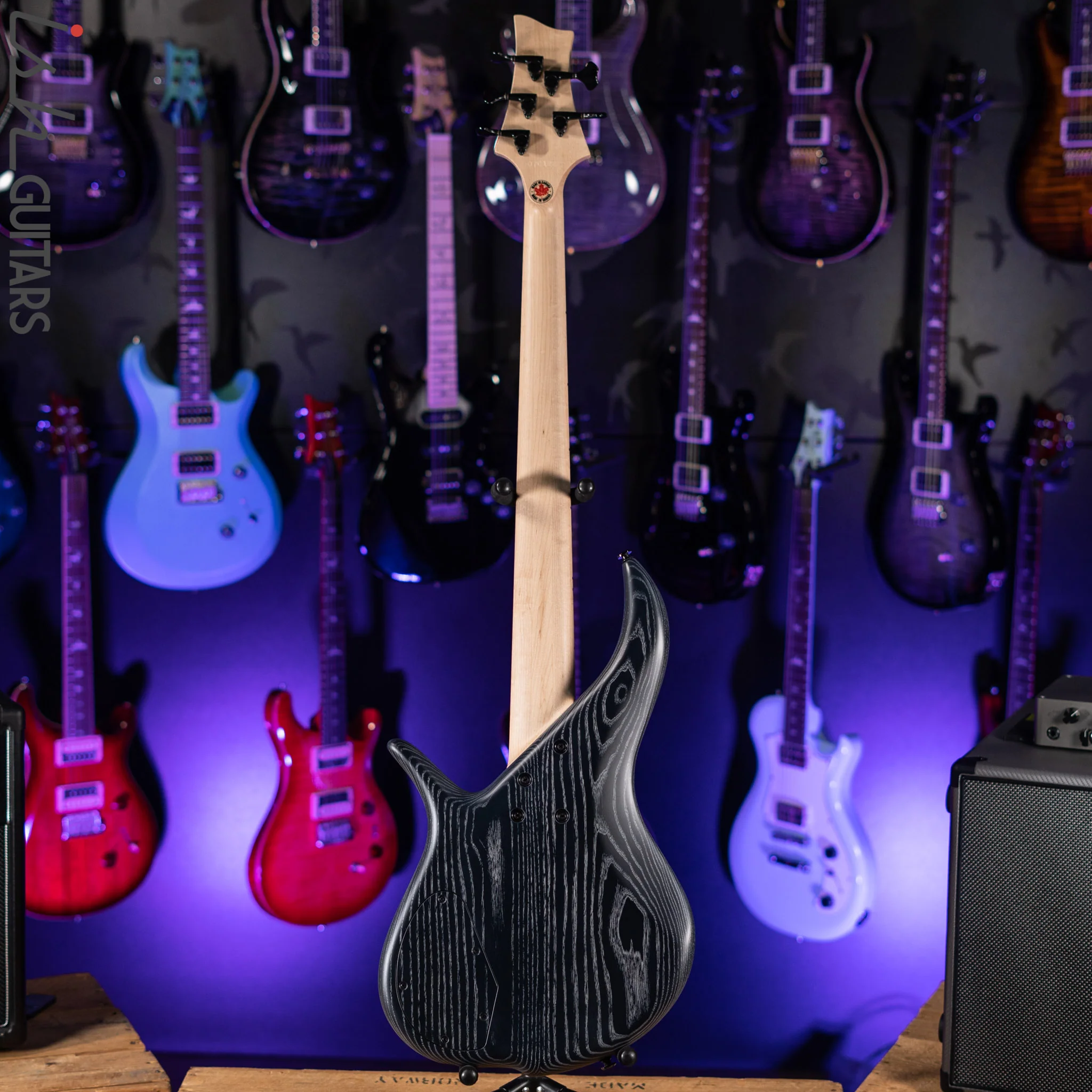 F Bass BN5 5-String Bass Black and White Ceruse - Image 6