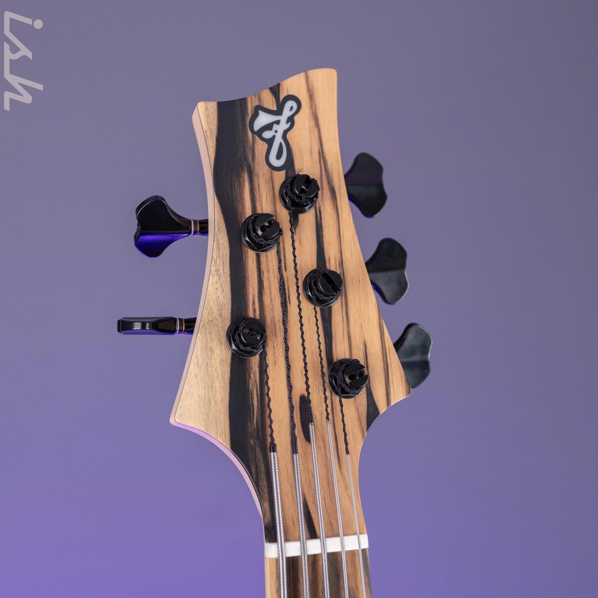 F Bass BN5 5-String Bass Pale Moon Ebony - Image 5