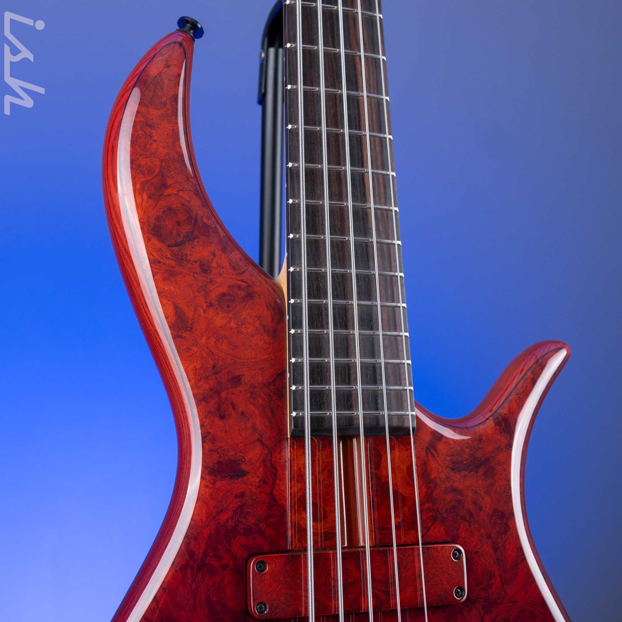 F Bass BN5 Burled Maple Dark Auburn Fade - Image 3