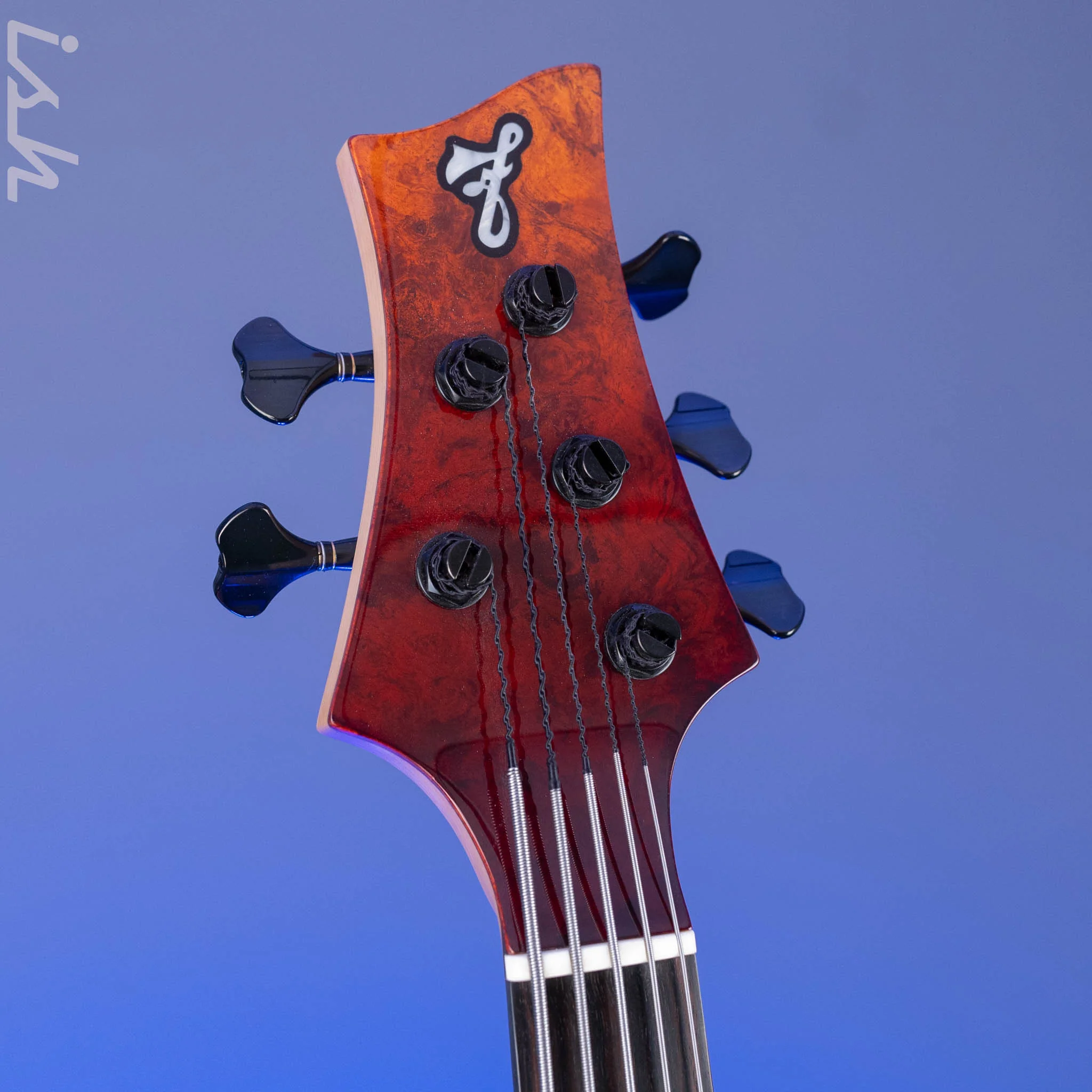 F Bass BN5 Burled Maple Dark Auburn Fade - Image 5