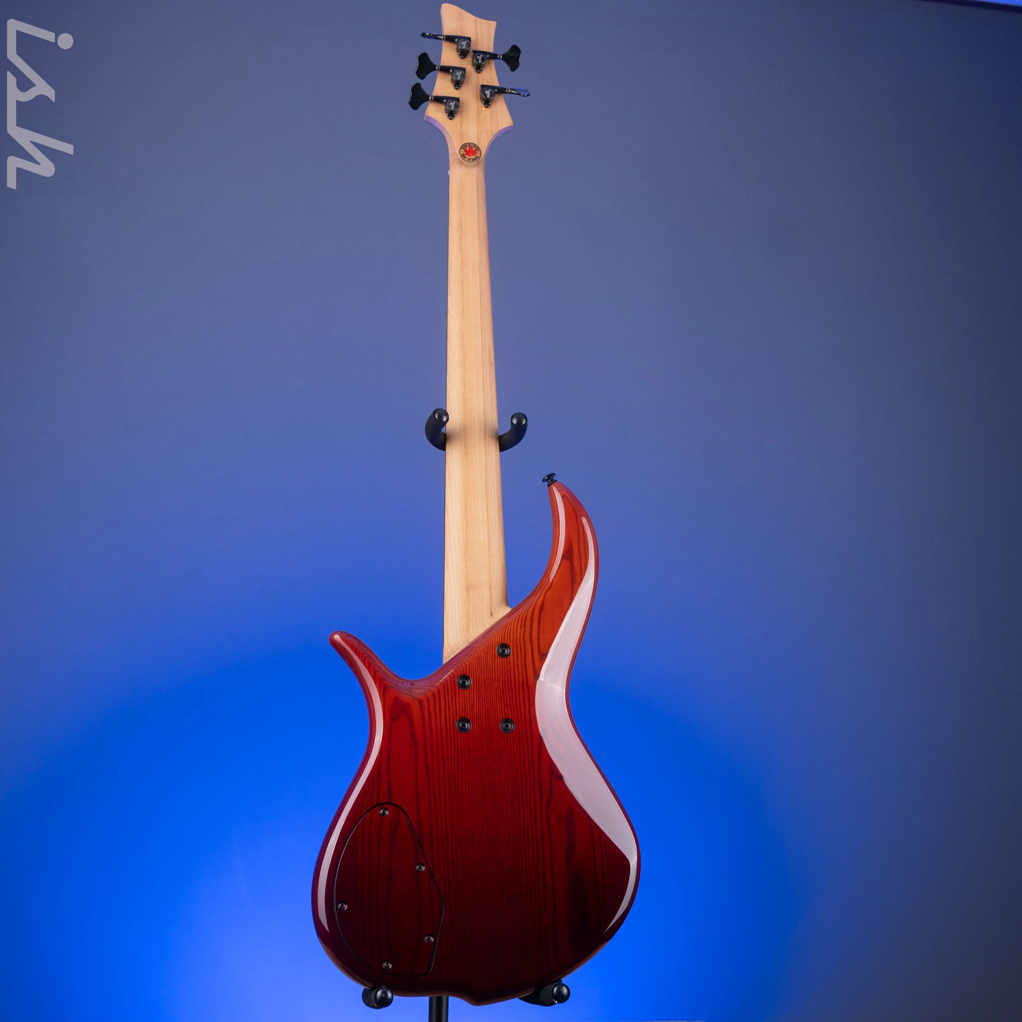 F Bass BN5 Burled Maple Dark Auburn Fade - Image 6