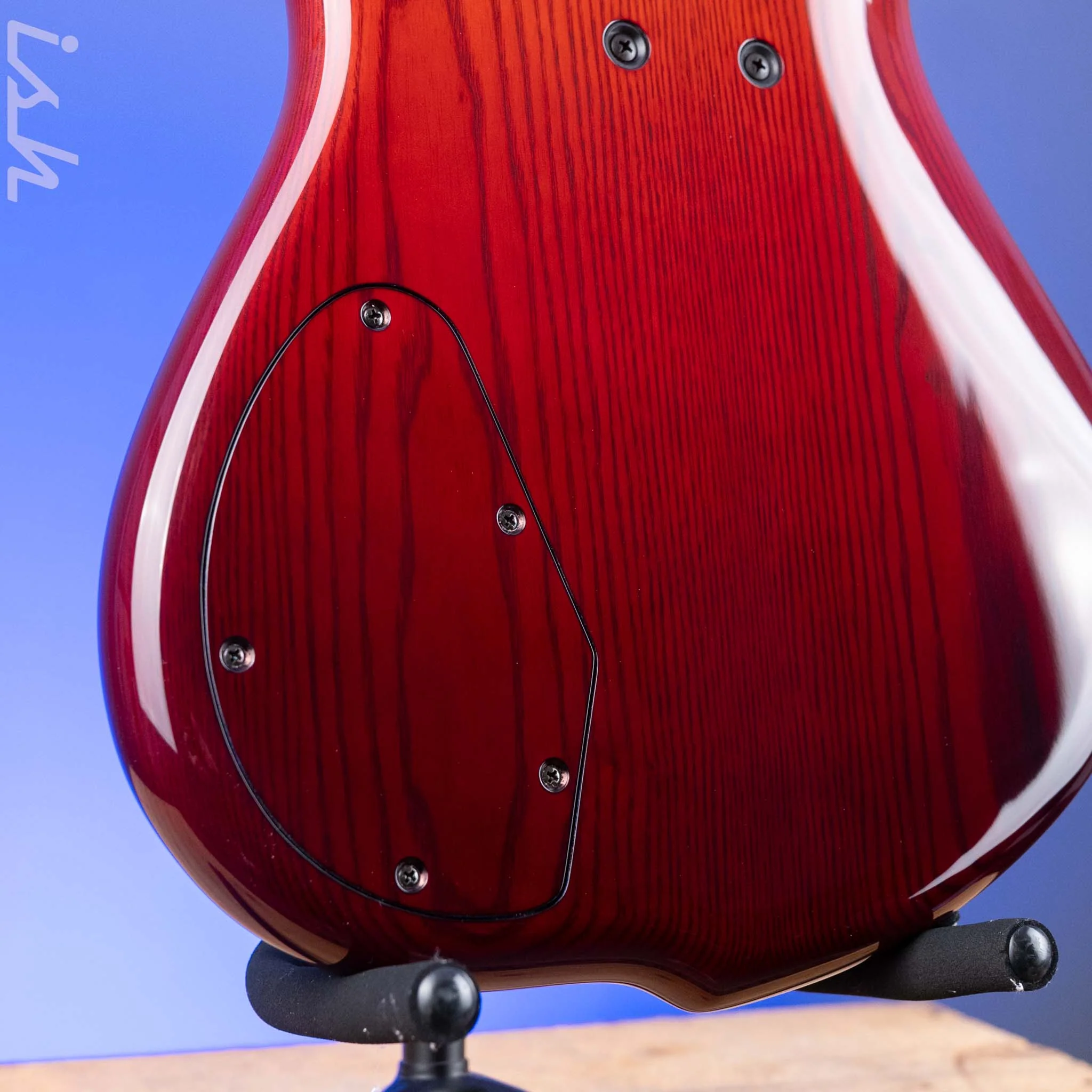 F Bass BN5 Burled Maple Dark Auburn Fade - Image 9