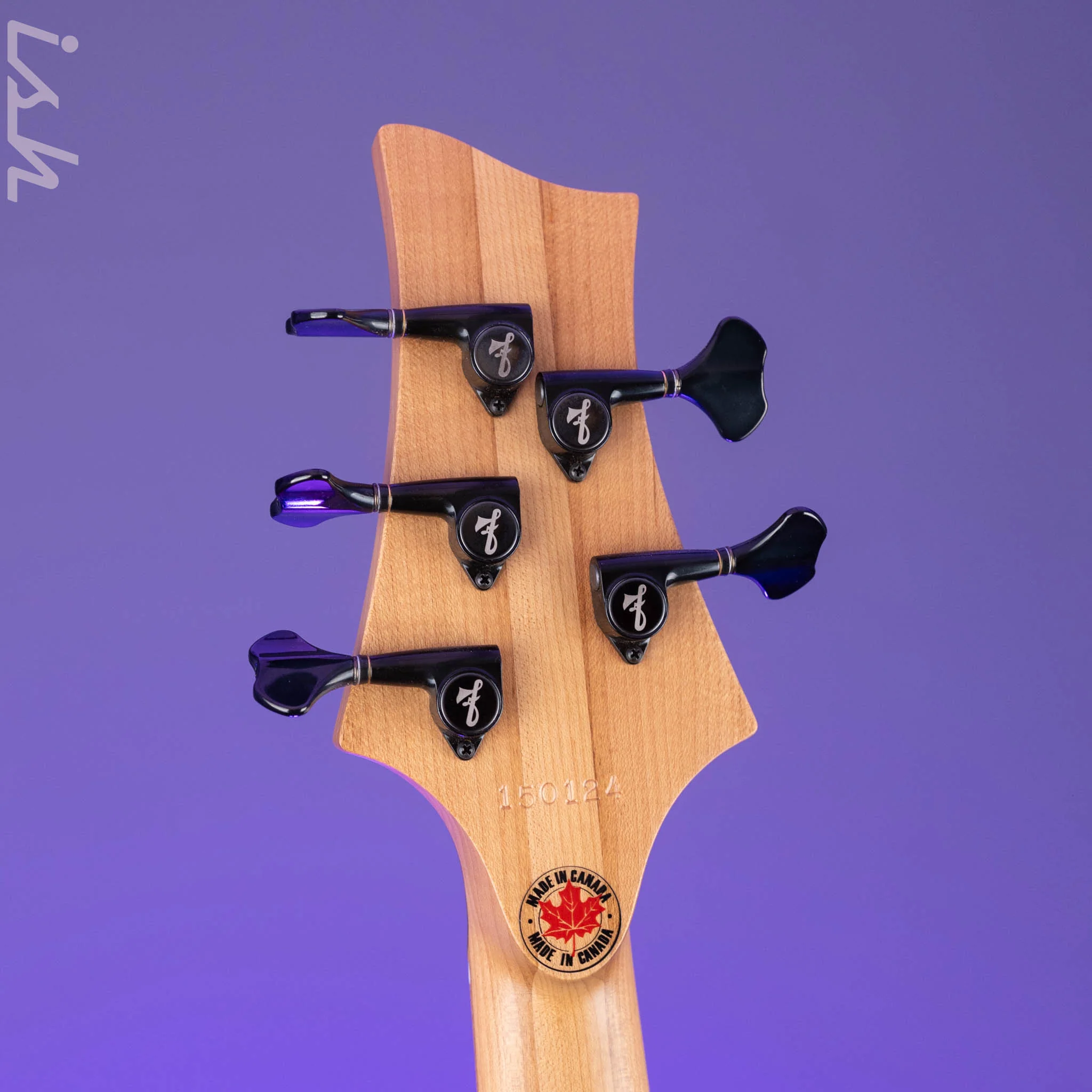F Bass BN5 Burled Walnut - Image 10