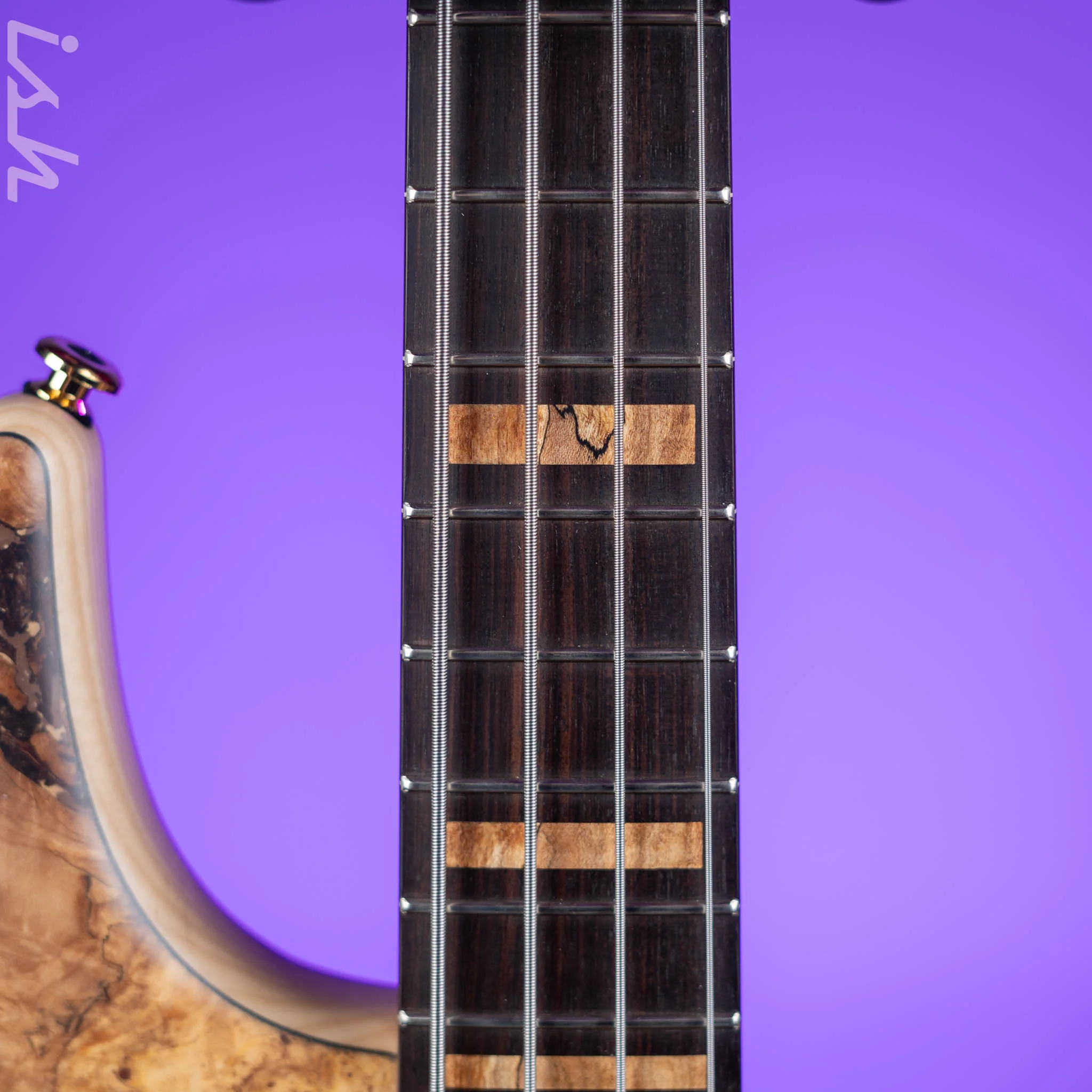 F Bass VF4-J Spalted Maple Natural Matte - Image 5