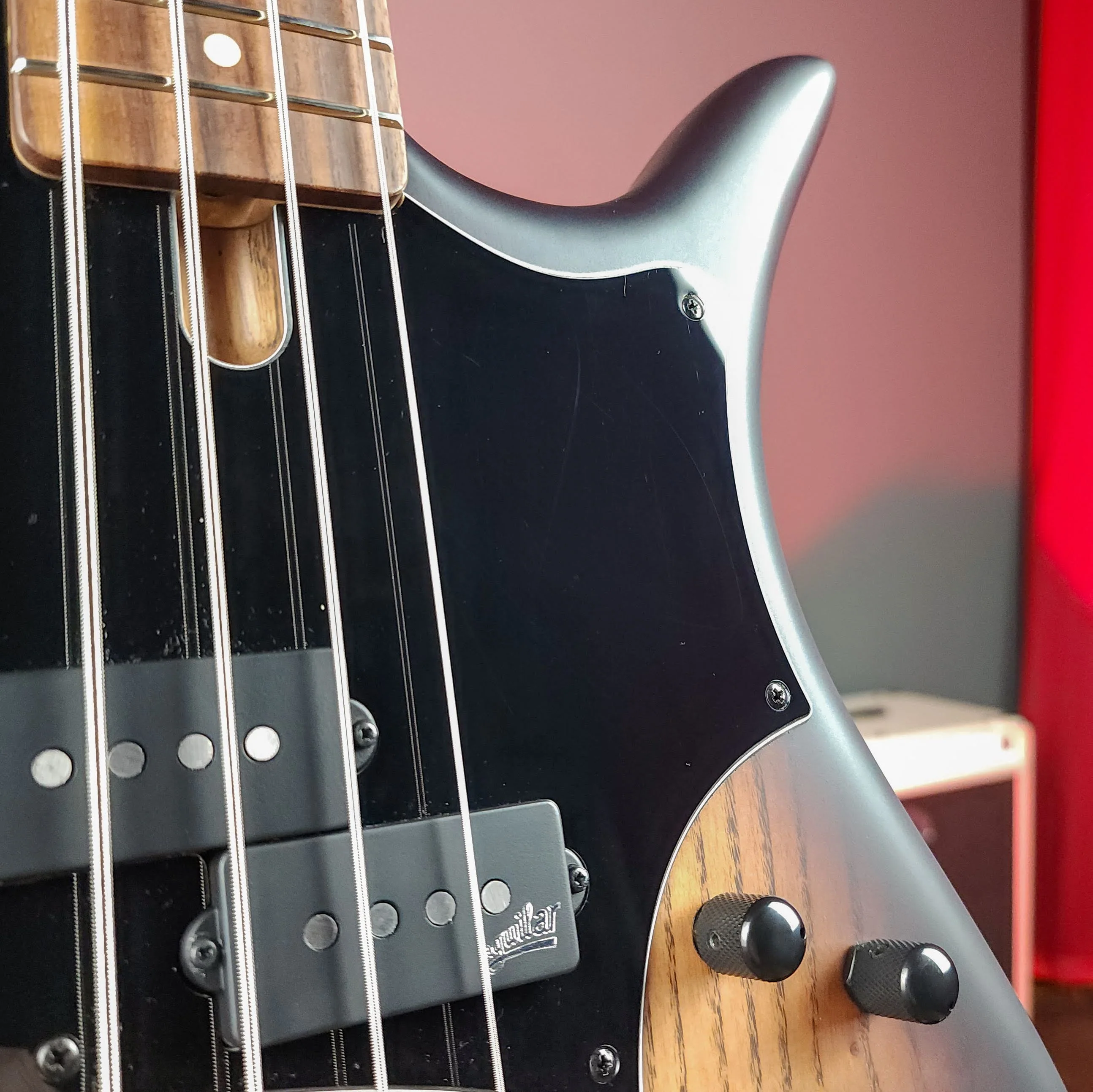 F Bass VF4-PJ 4-String Bass Brown Burst - Image 5