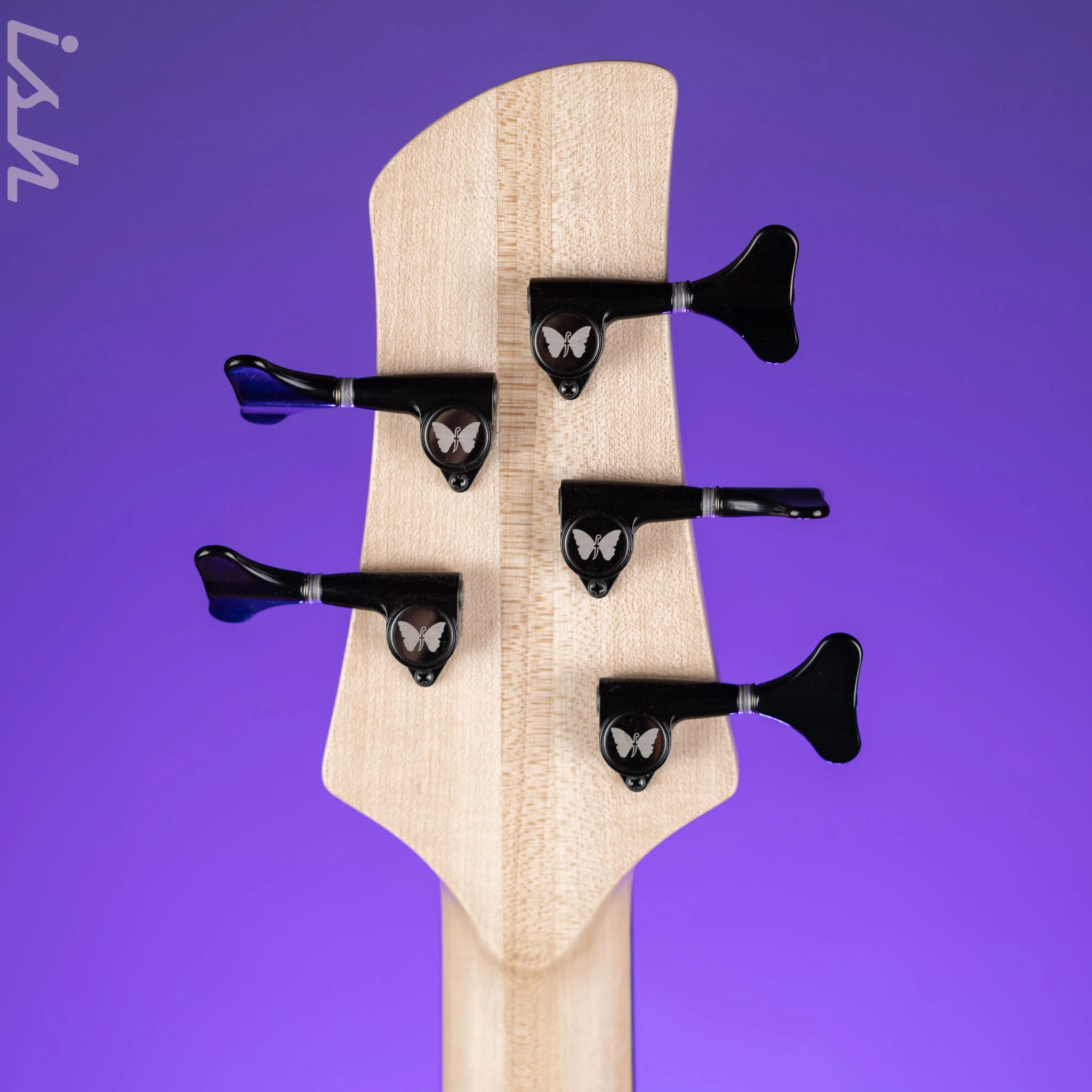 Fodera Martinie "Blondie" Standard 5-String Bass - Image 10