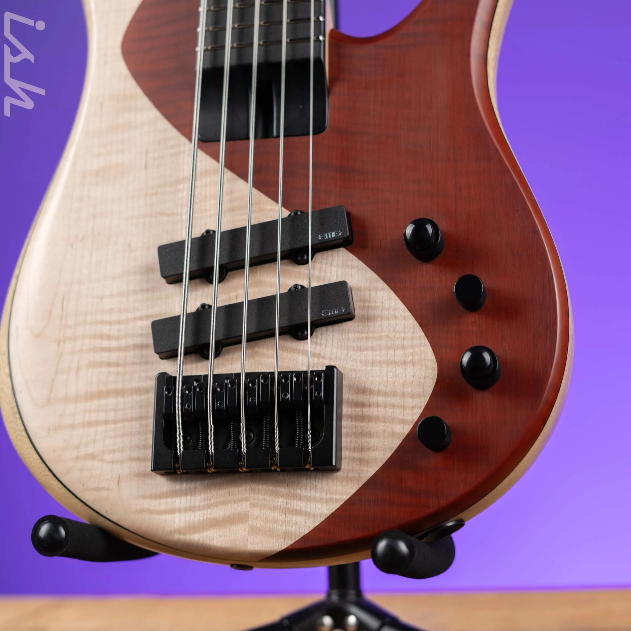 Fodera Martinie "Blondie" Standard 5-String Bass - Image 4