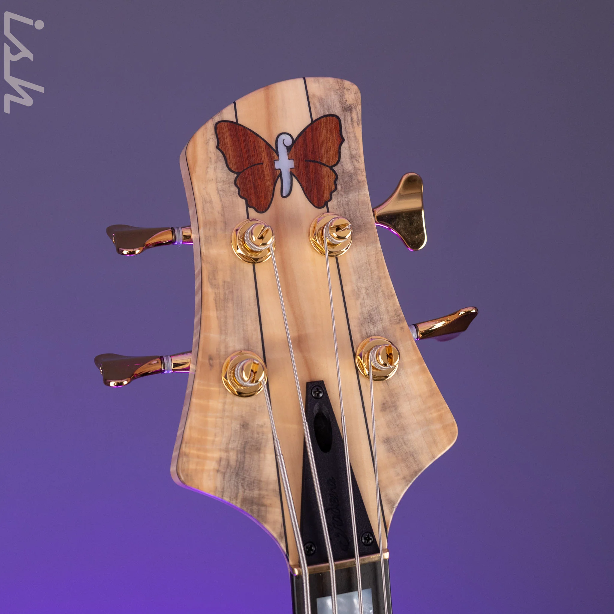 Fodera Monarch Deluxe 4 String Bass-Solid Body - Image 6