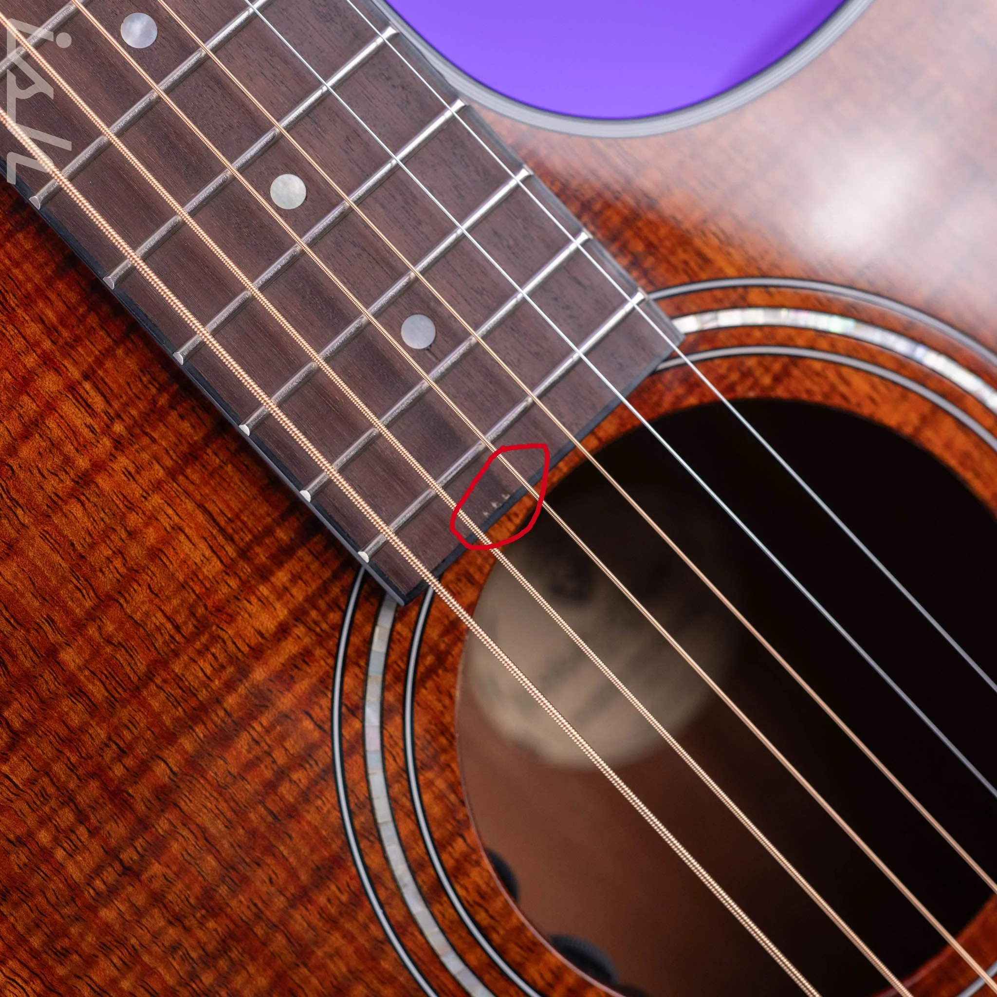 Guild OM260ce Deluxe Blackwood Natural - Image 5