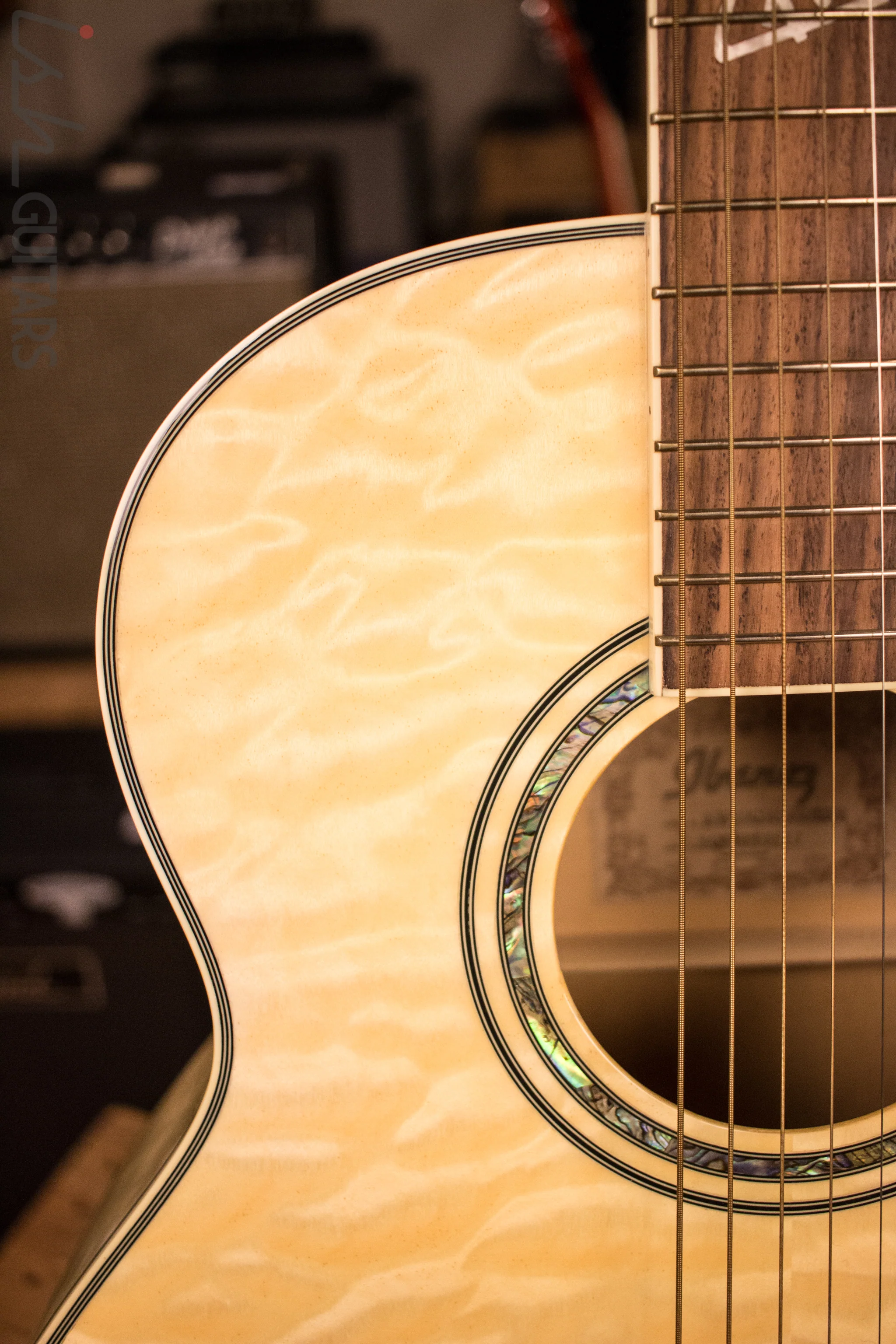 Ibanez Acoustic - Image 3