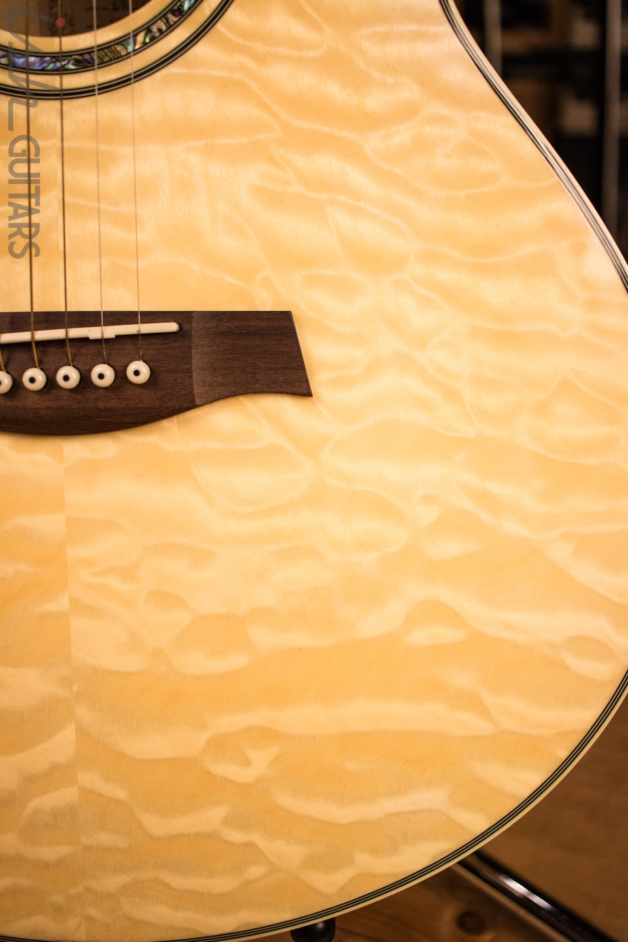 Ibanez Acoustic - Image 4