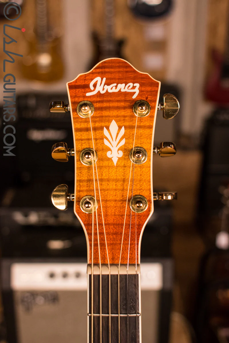 Ibanez Acoustic Electric Guitar [Used] - Image 6
