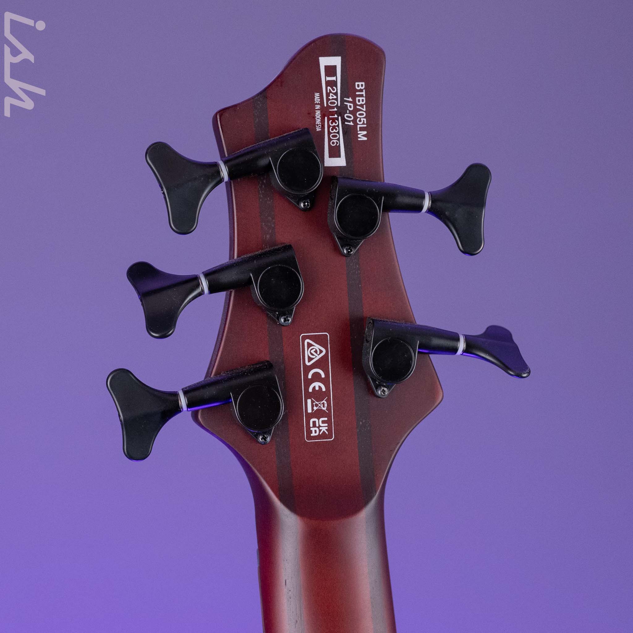 Ibanez BTB Bass Workshop Multi-Scale 5-String Bass Natural Browned Burst Flat Demo - Image 10