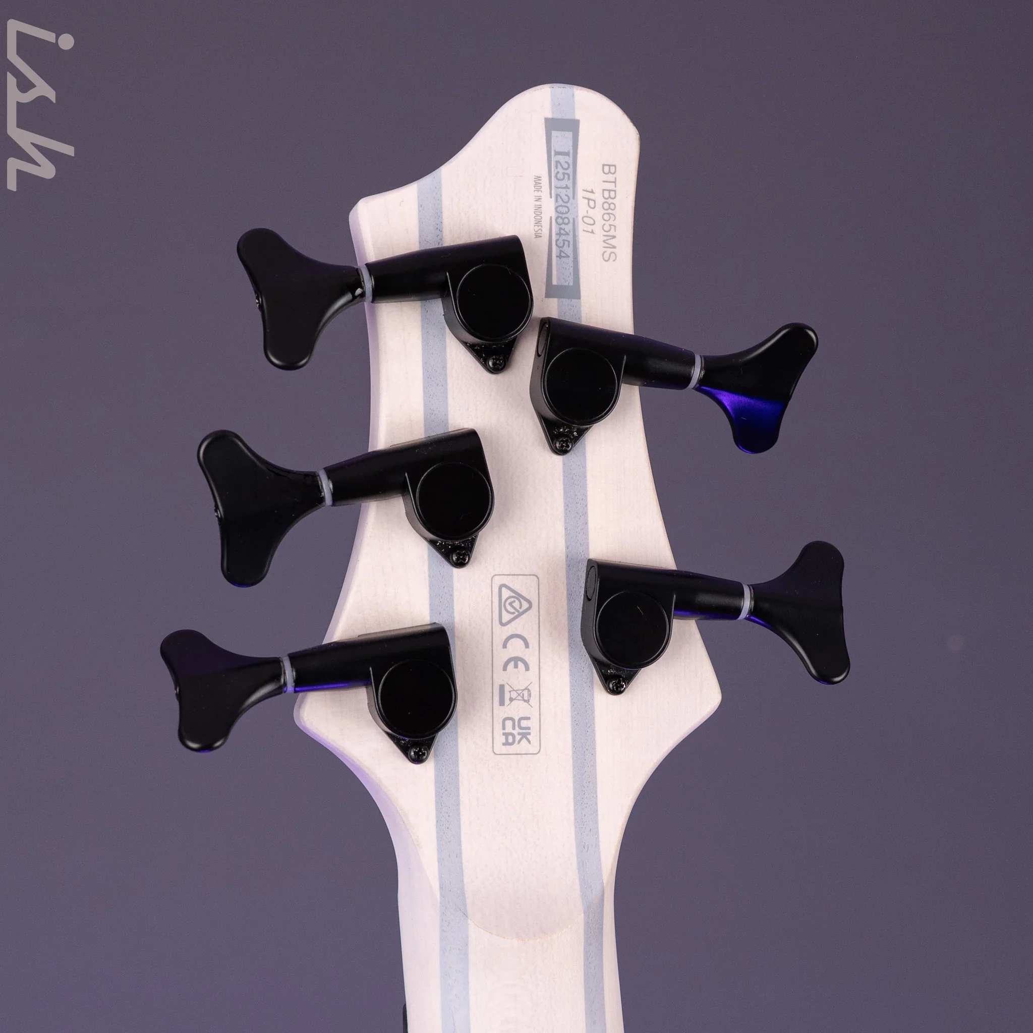 Ibanez BTB865MS 5-String Bass Workshop Transparent White Flat - Image 12