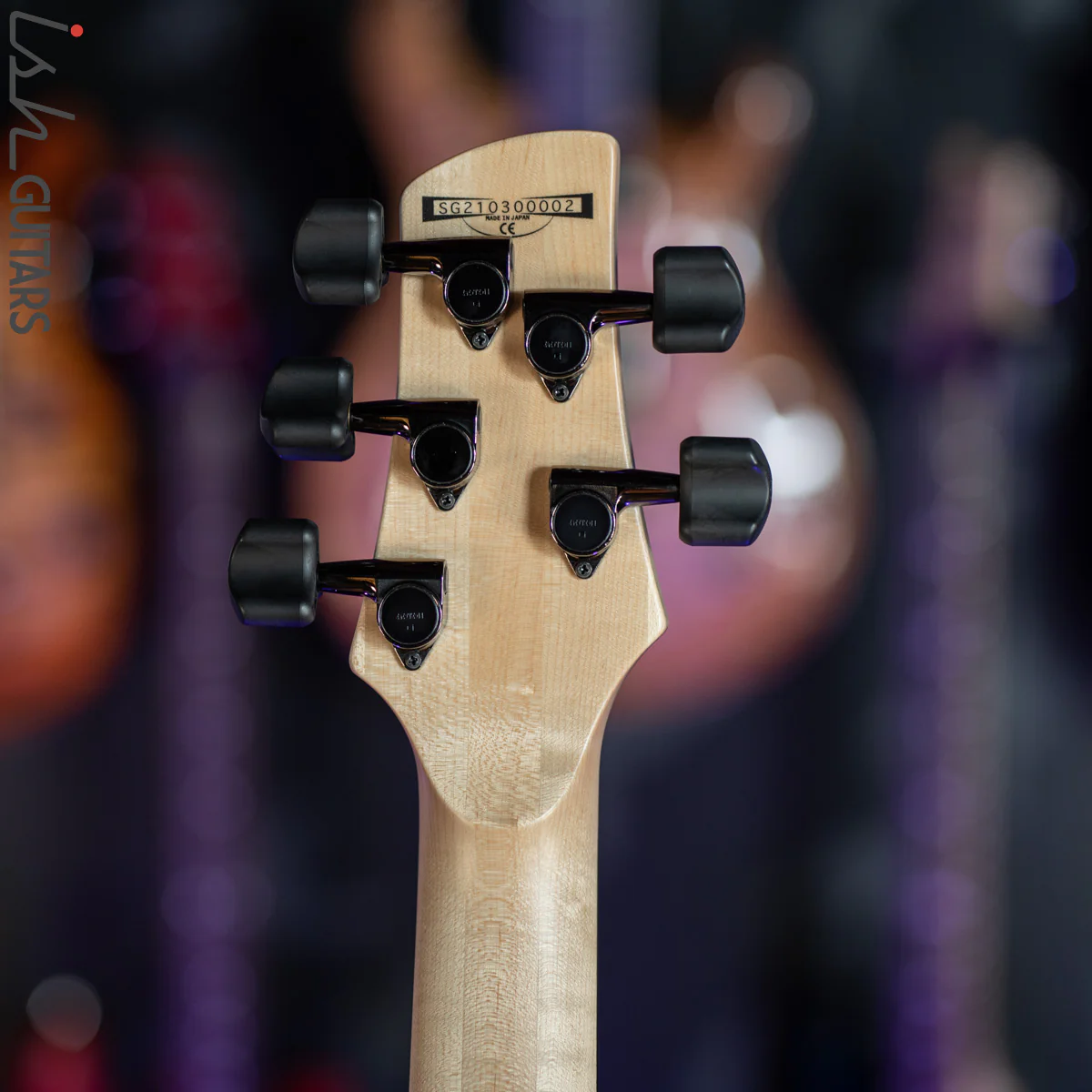 Ibanez El Bass Gary Willis Signature GWB1005 Natural Flat - Image 10