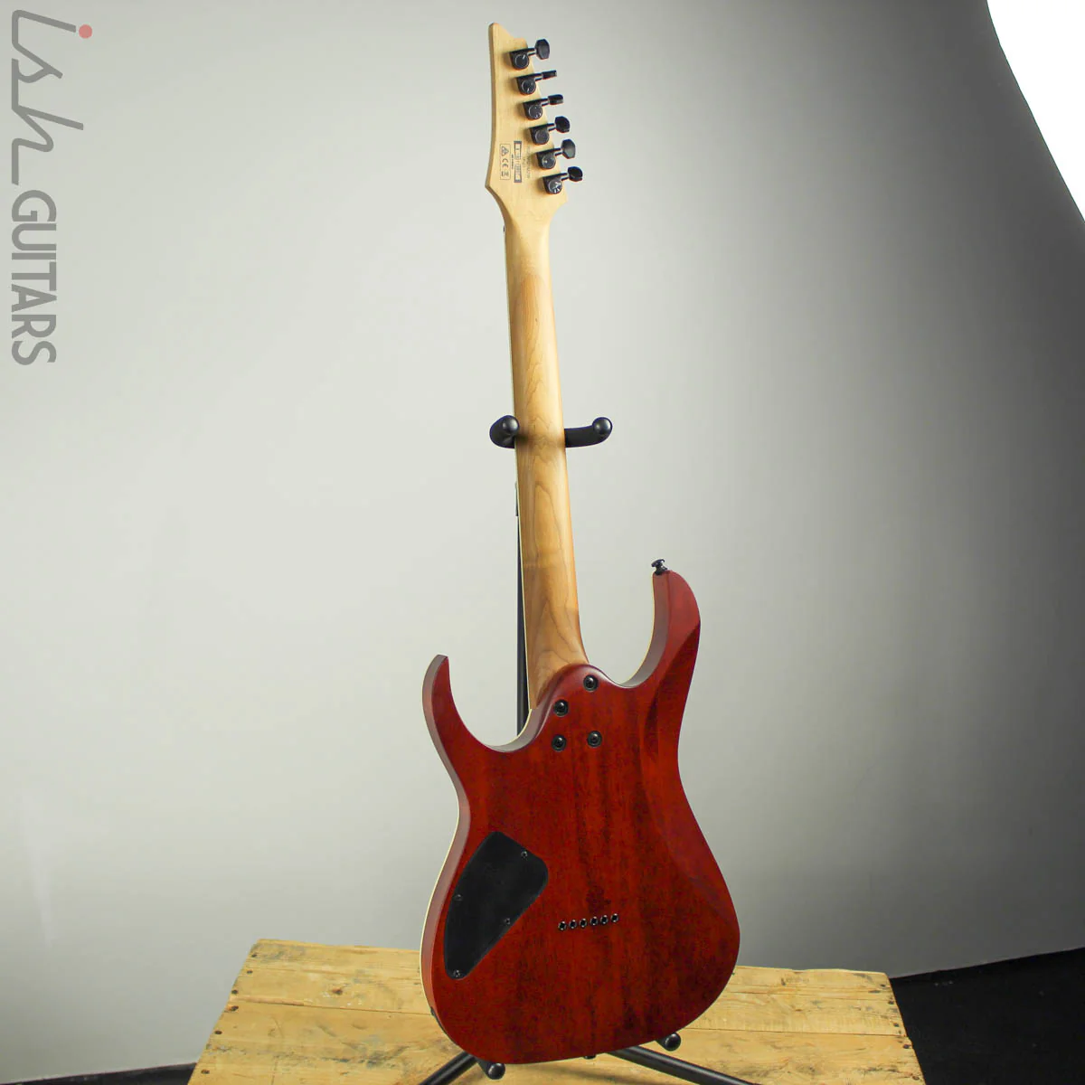 Ibanez Exotic RGEW521M Zebrawood Natural Flat B-STOCK - Image 8