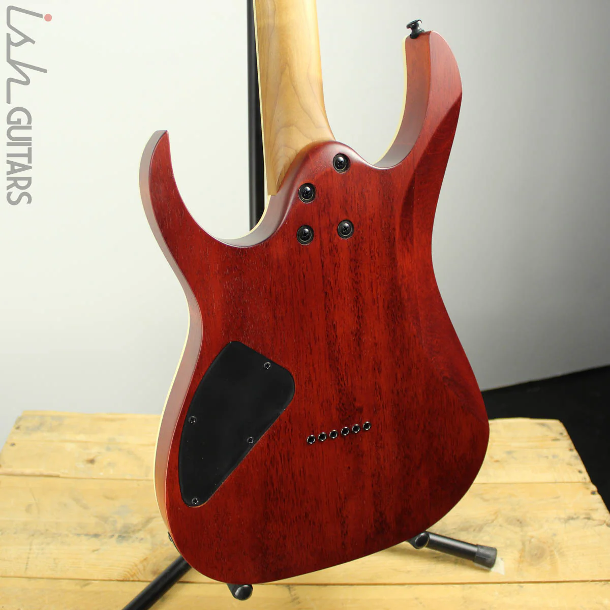 Ibanez Exotic RGEW521M Zebrawood Natural Flat B-STOCK - Image 9