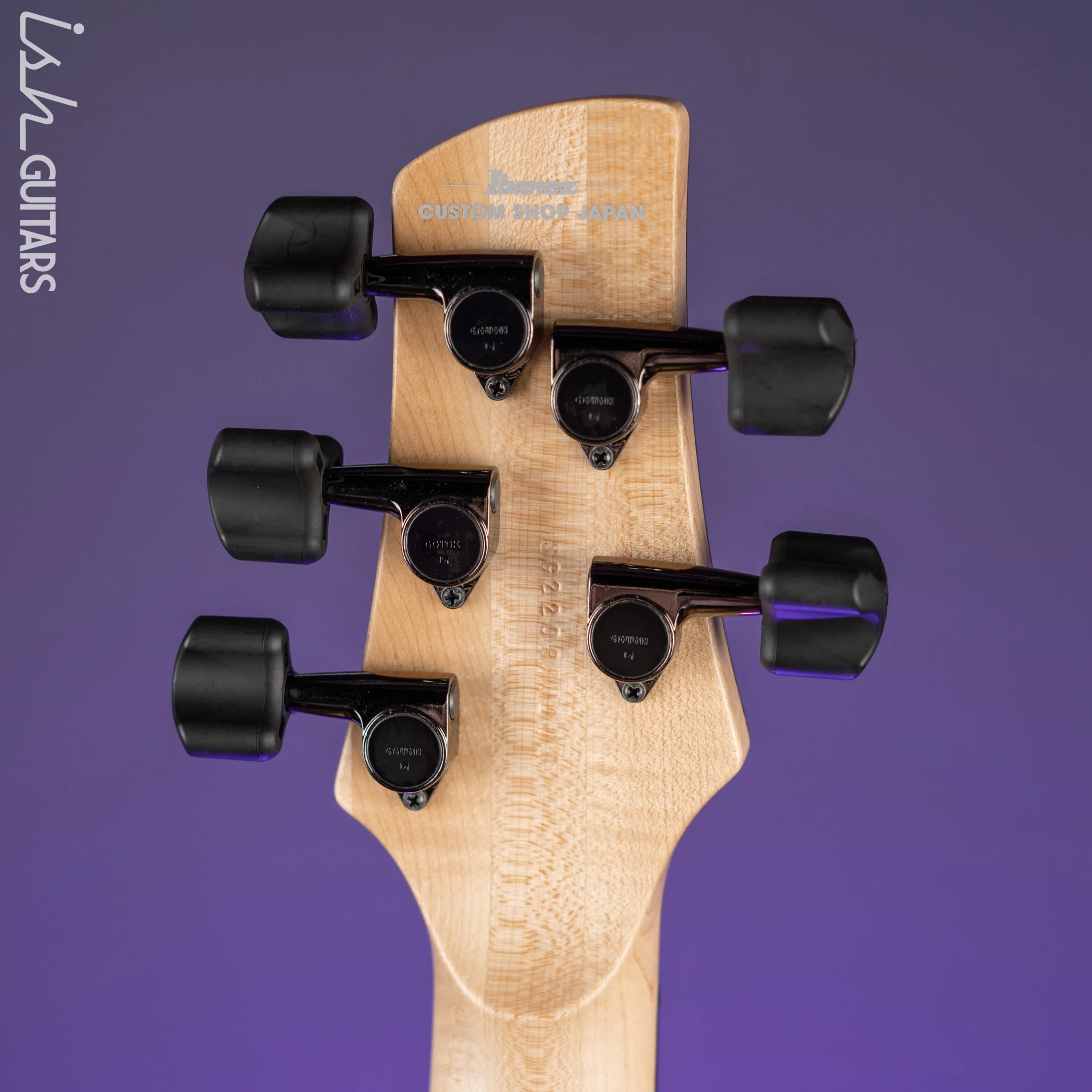 Ibanez GWB1005 Gary Willis Signature 5-String Bass Made in Japan Natural Flat - Image 10