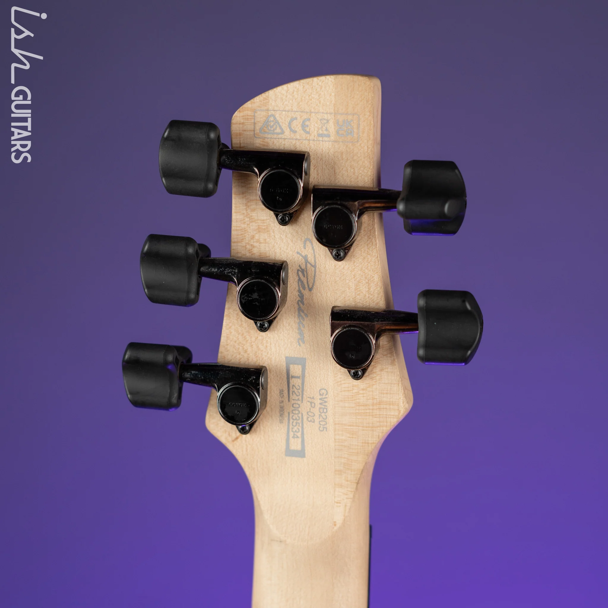 Ibanez GWB205 Gary Willis Signature 5-String Fretless Bass Tequila Sunrise Flat - Image 10