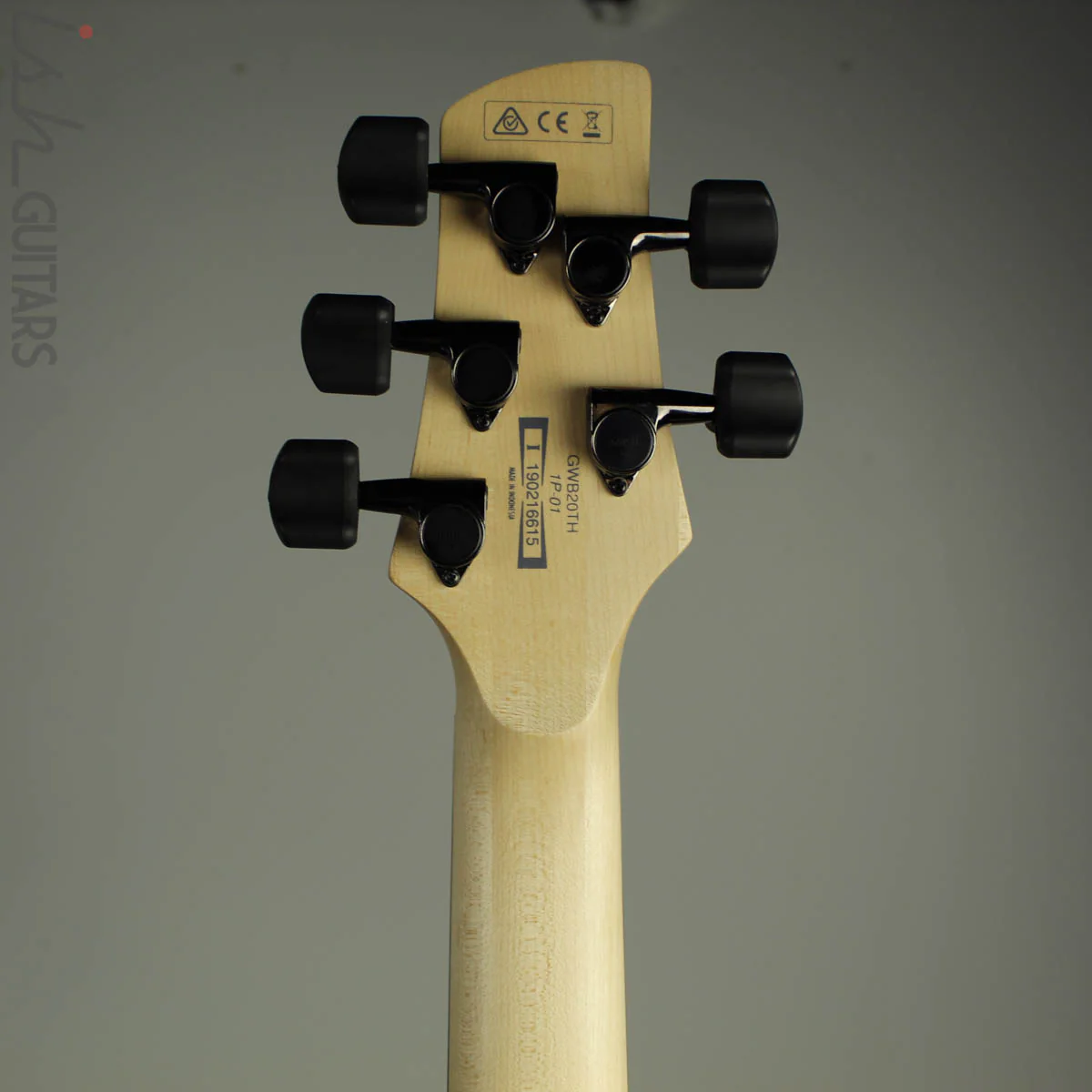 Ibanez Limited Edition Gary Willis GWB20TH 20th Anniversary 5 String Tequila Sunrise Flat - Image 9