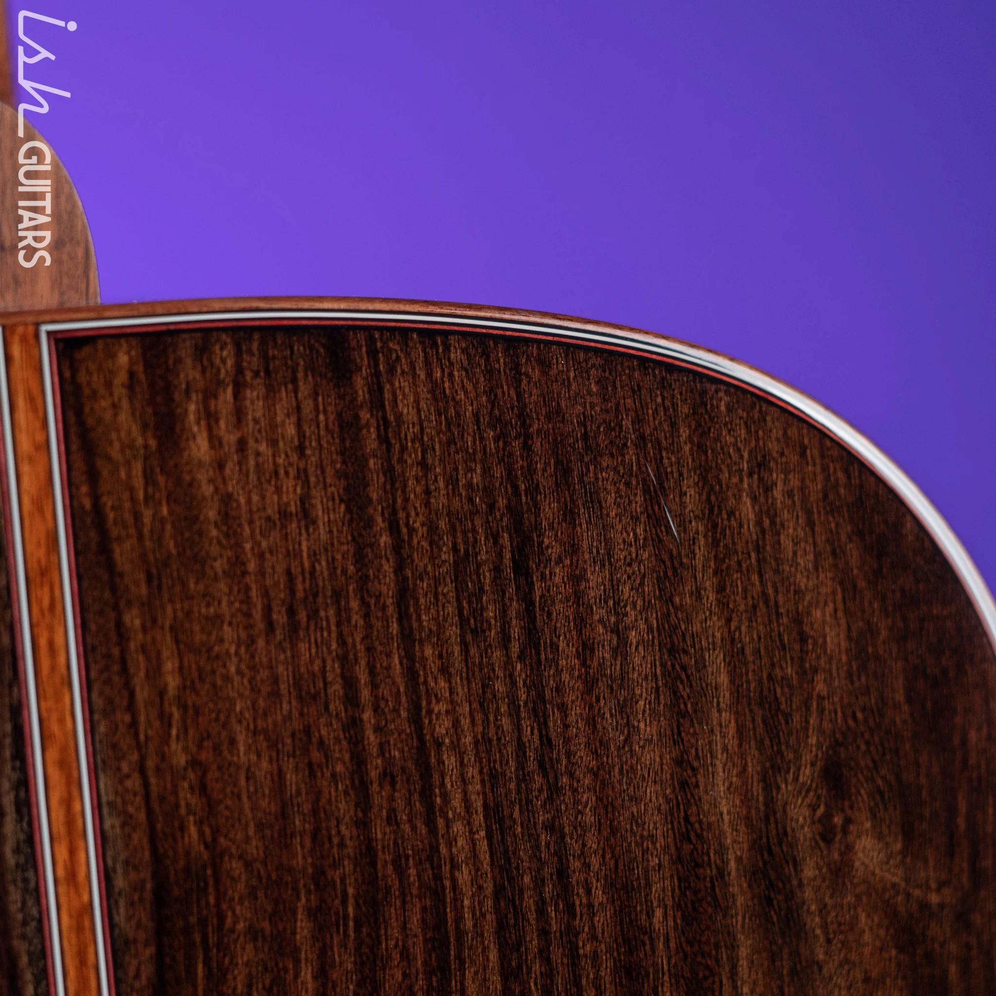 Ibanez Marcin Patrzalek Series MRC10 Acoustic-Electric Guitar Demo - Image 11