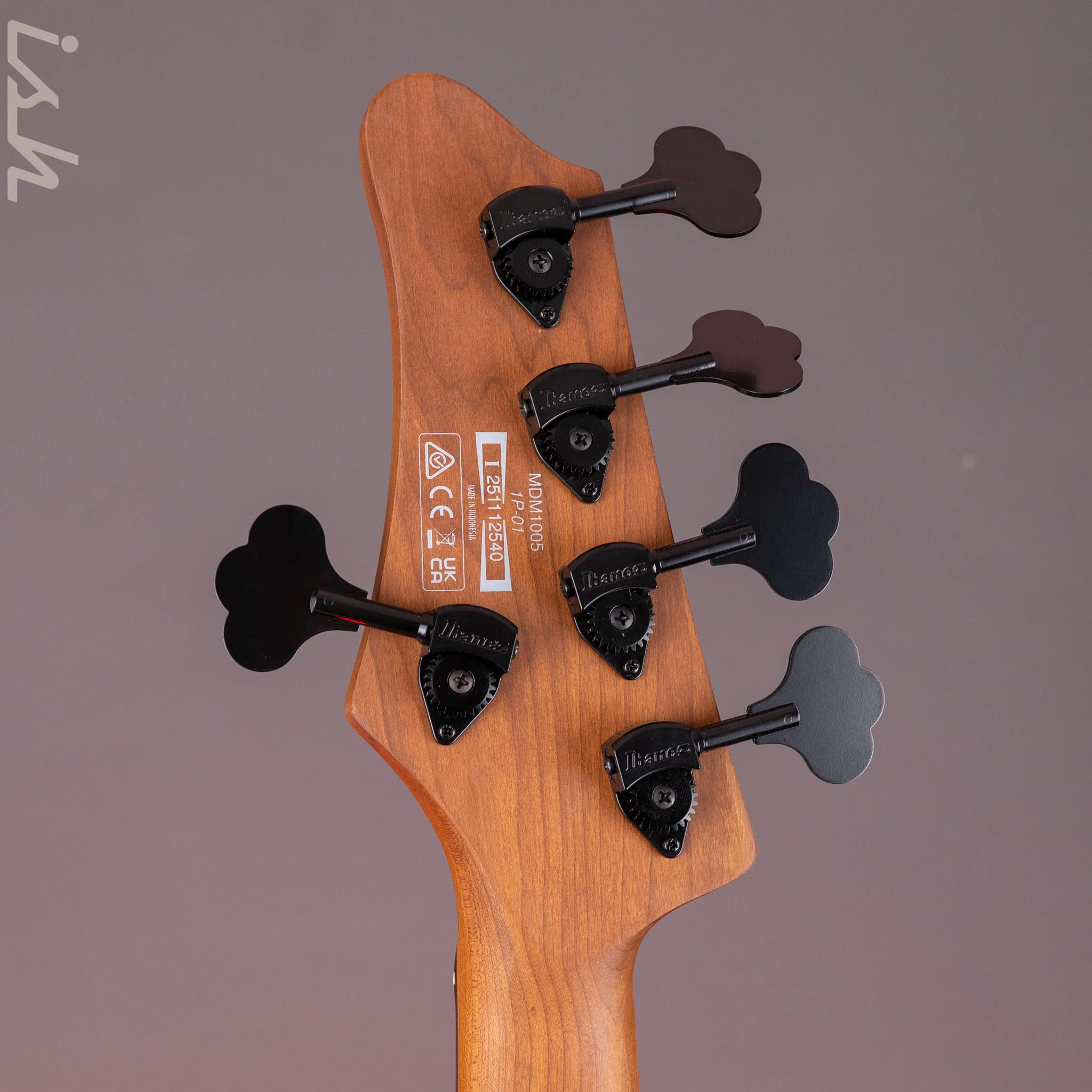 Ibanez MDM1005 5-String Bass Midnight Arctic Ocean Matte Demo - Image 13
