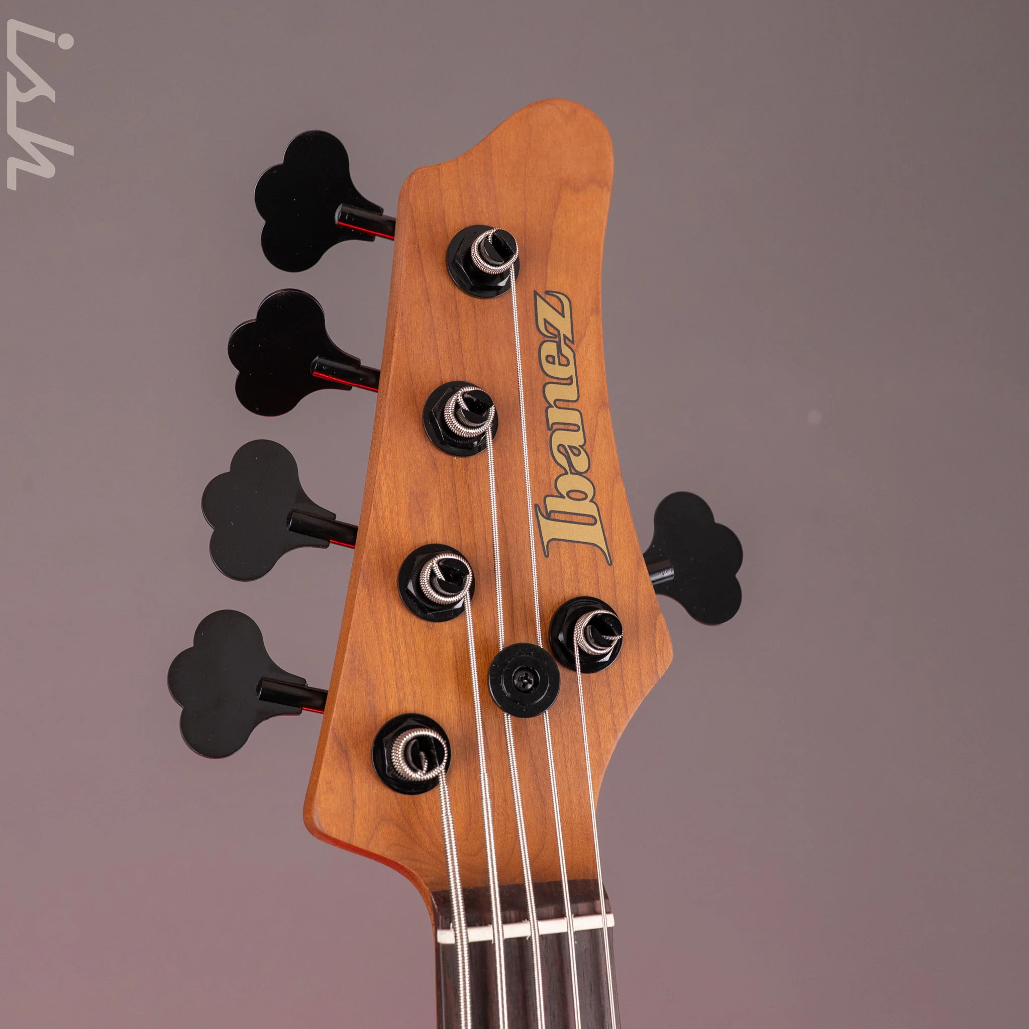 Ibanez MDM1005 5-String Bass Midnight Arctic Ocean Matte Demo - Image 7