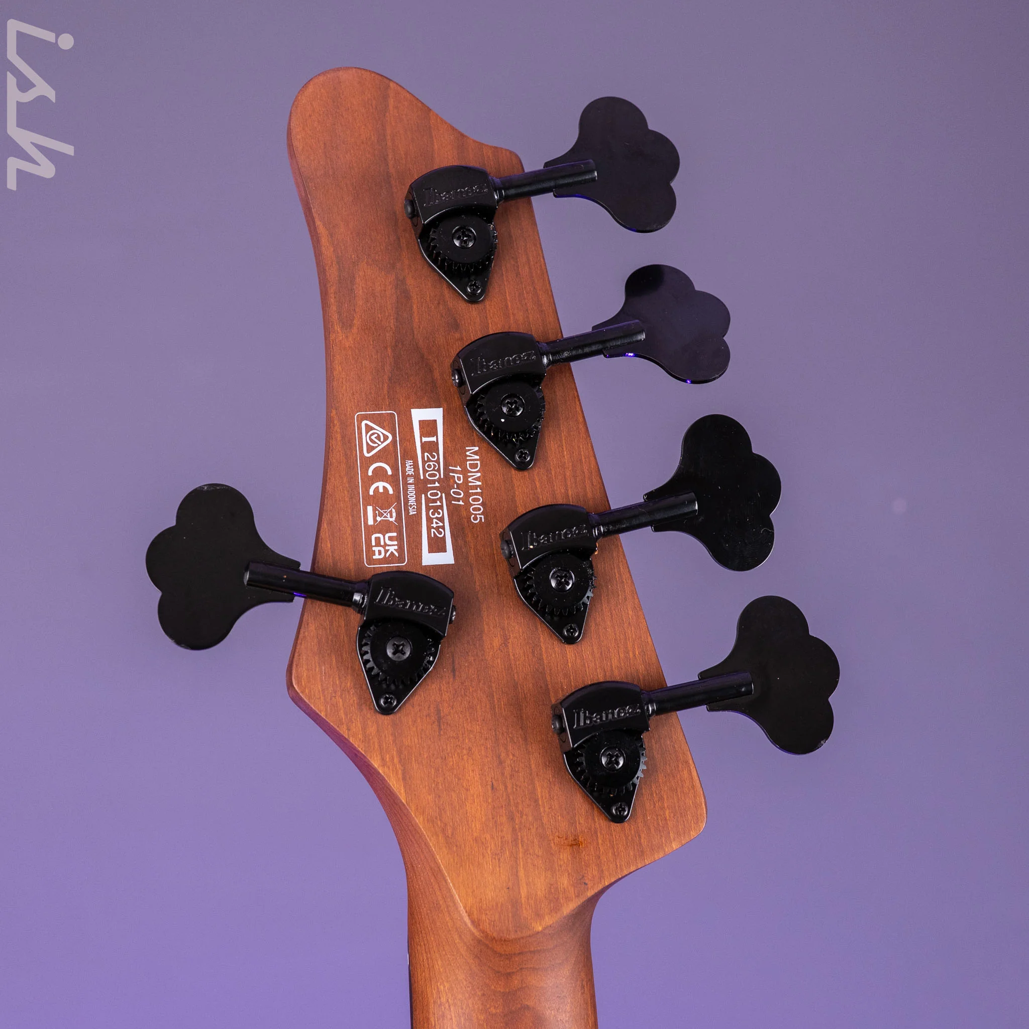 Ibanez Mode MDM1005 5-String Bass Pearl White - Image 12