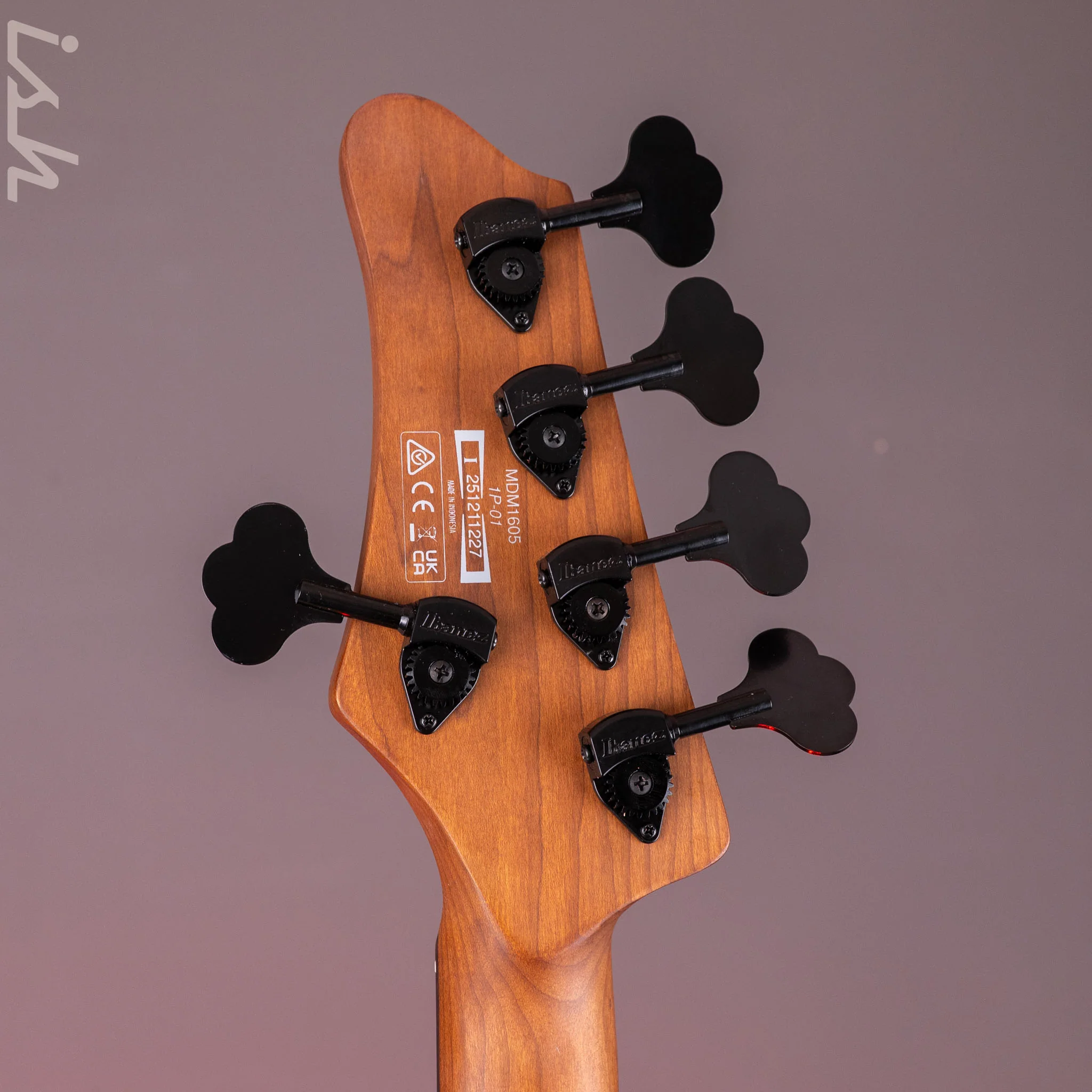 Ibanez Mode MDM1605 5-String Bass Deep Twilight - Image 12