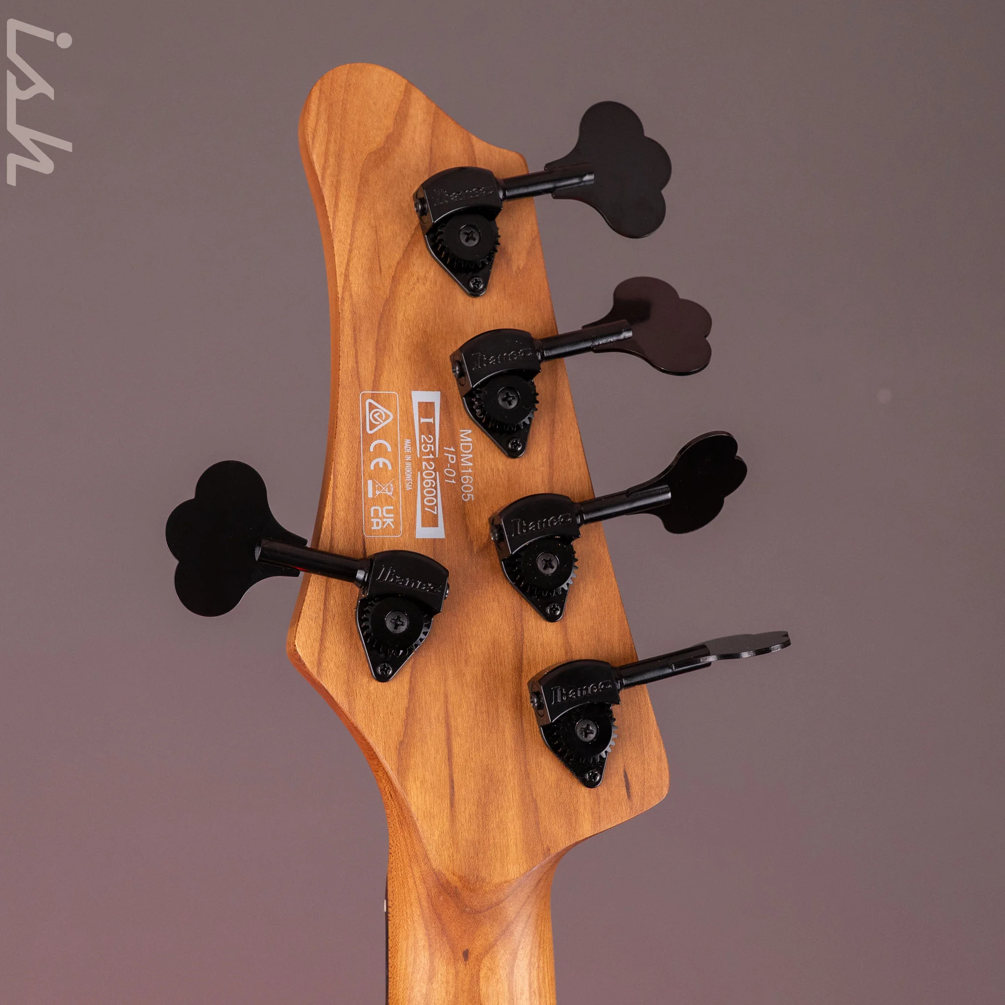Ibanez Mode MDM1605 5-String Bass Natural Mocha Low Gloss - Image 12