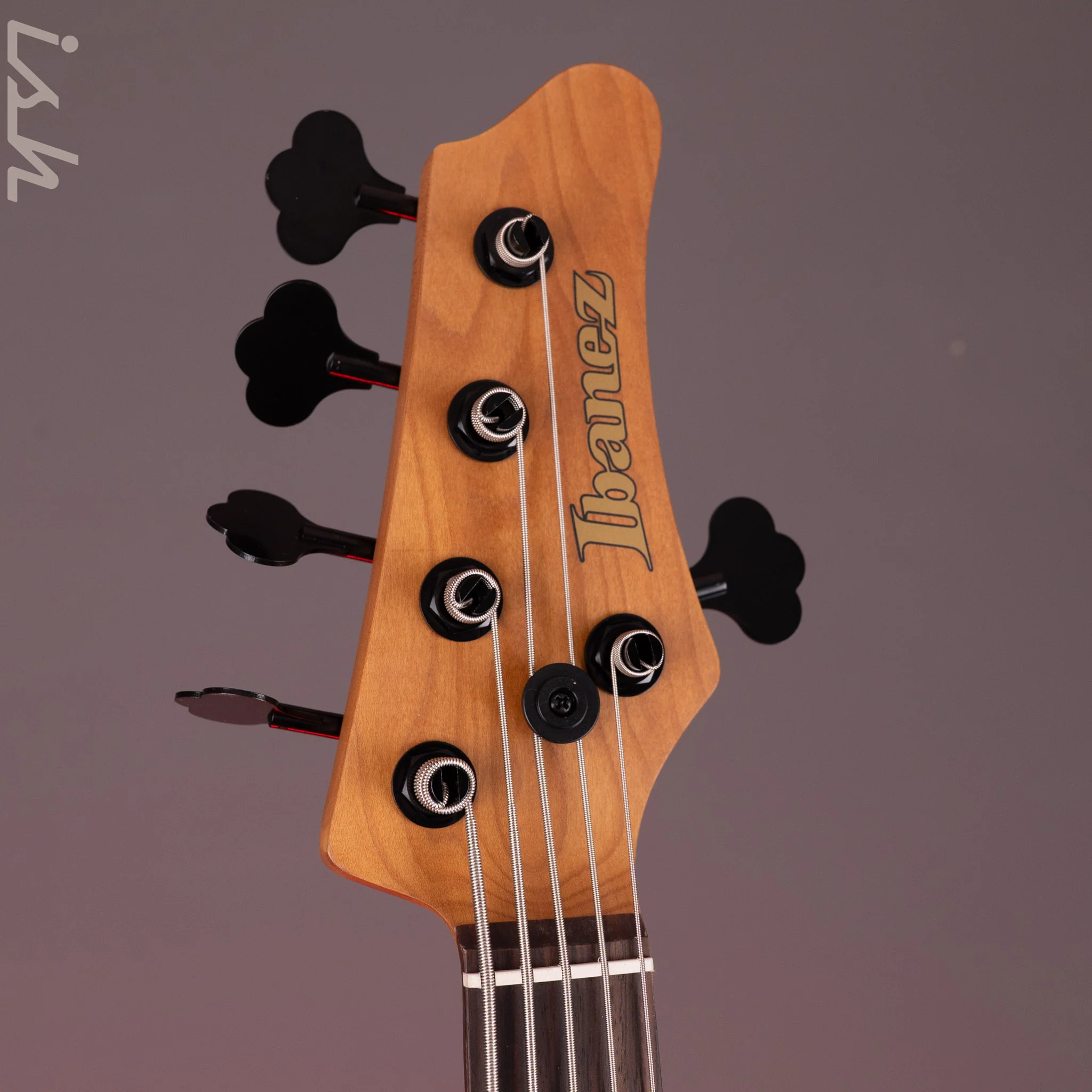Ibanez Mode MDM1605 5-String Bass Natural Mocha Low Gloss - Image 7
