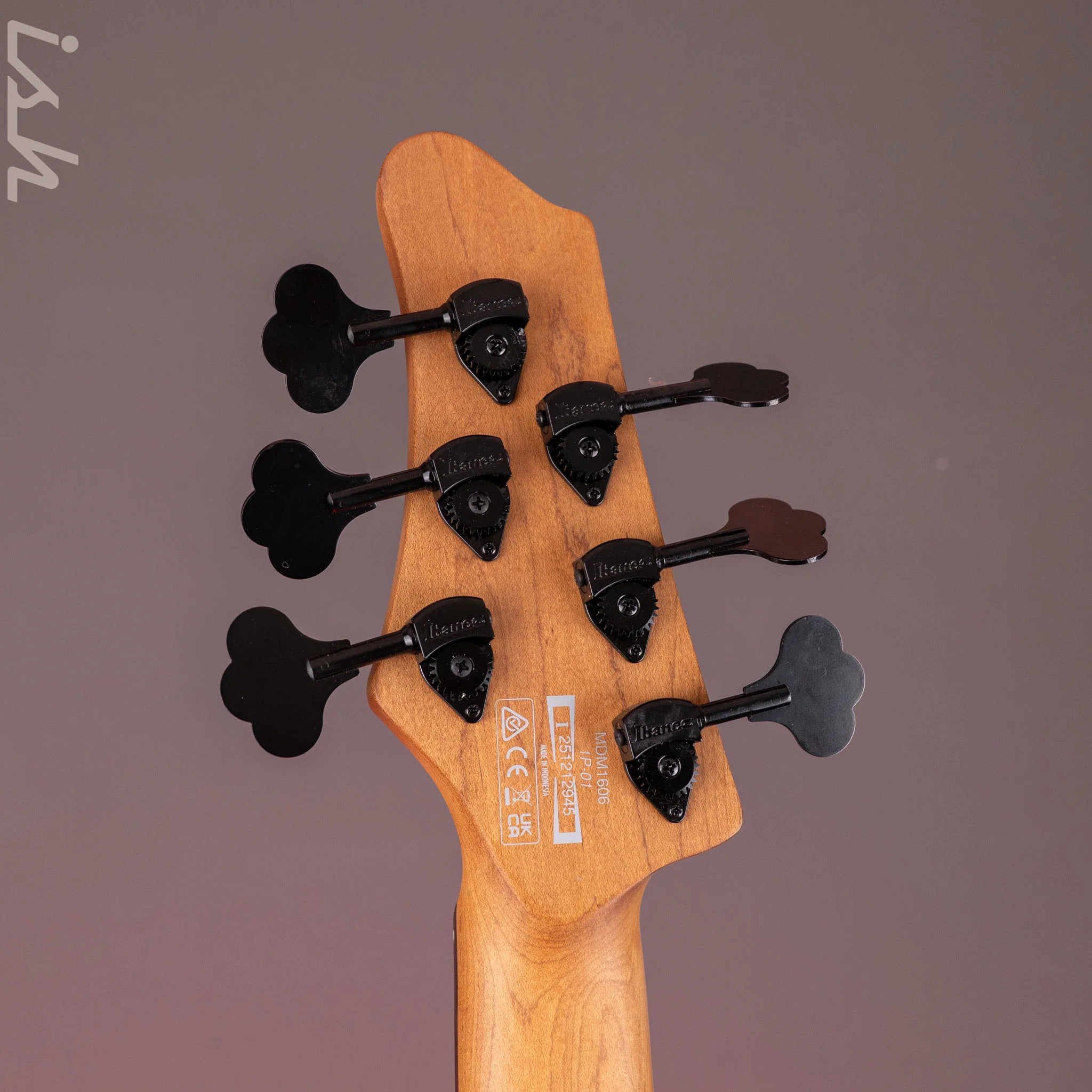 Ibanez Mode MDM1606 6-String Bass Natural Mocha Low Gloss - Image 12
