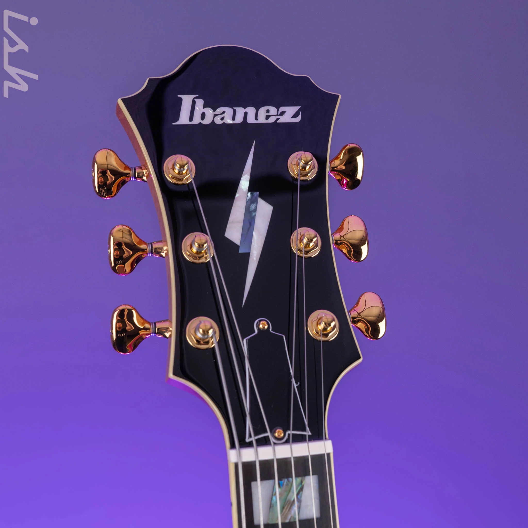Ibanez PM200 Pat Metheny Signature Hollowbody Natural - Image 5