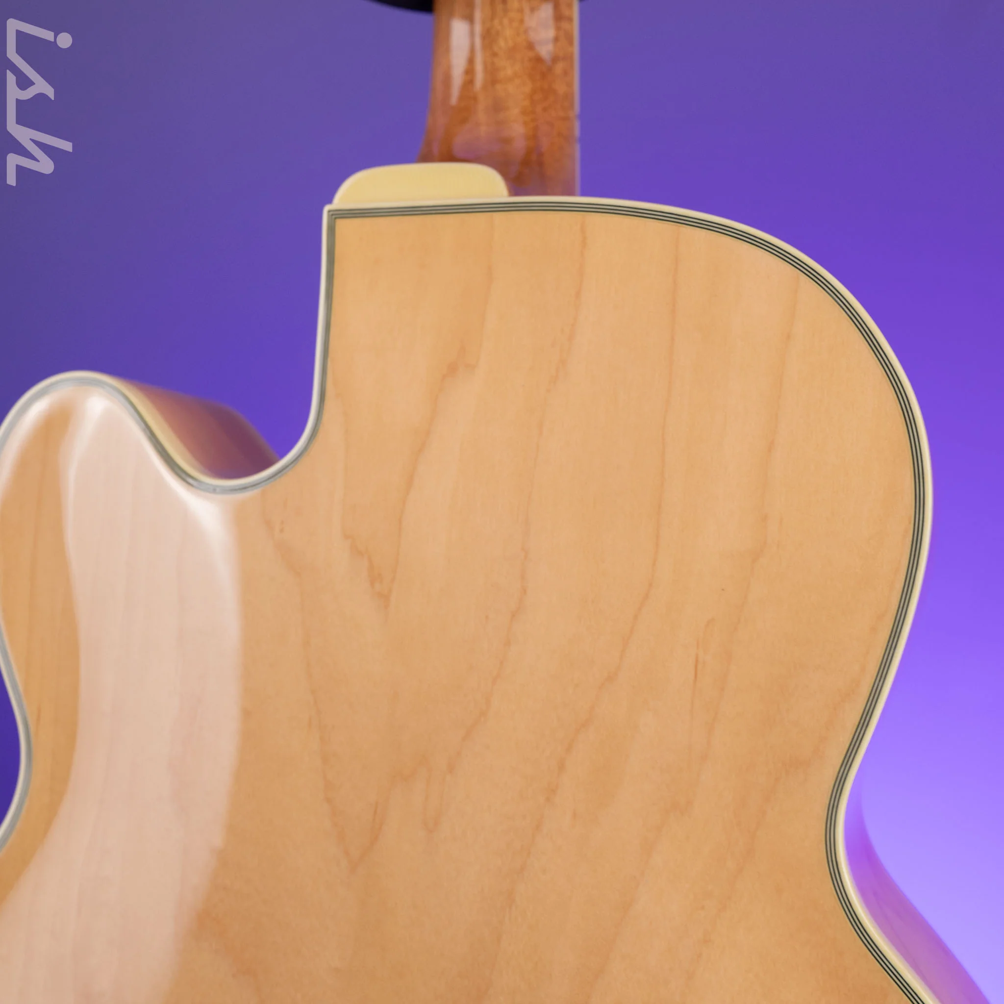 Ibanez PM200 Pat Metheny Signature Hollowbody Natural - Image 8