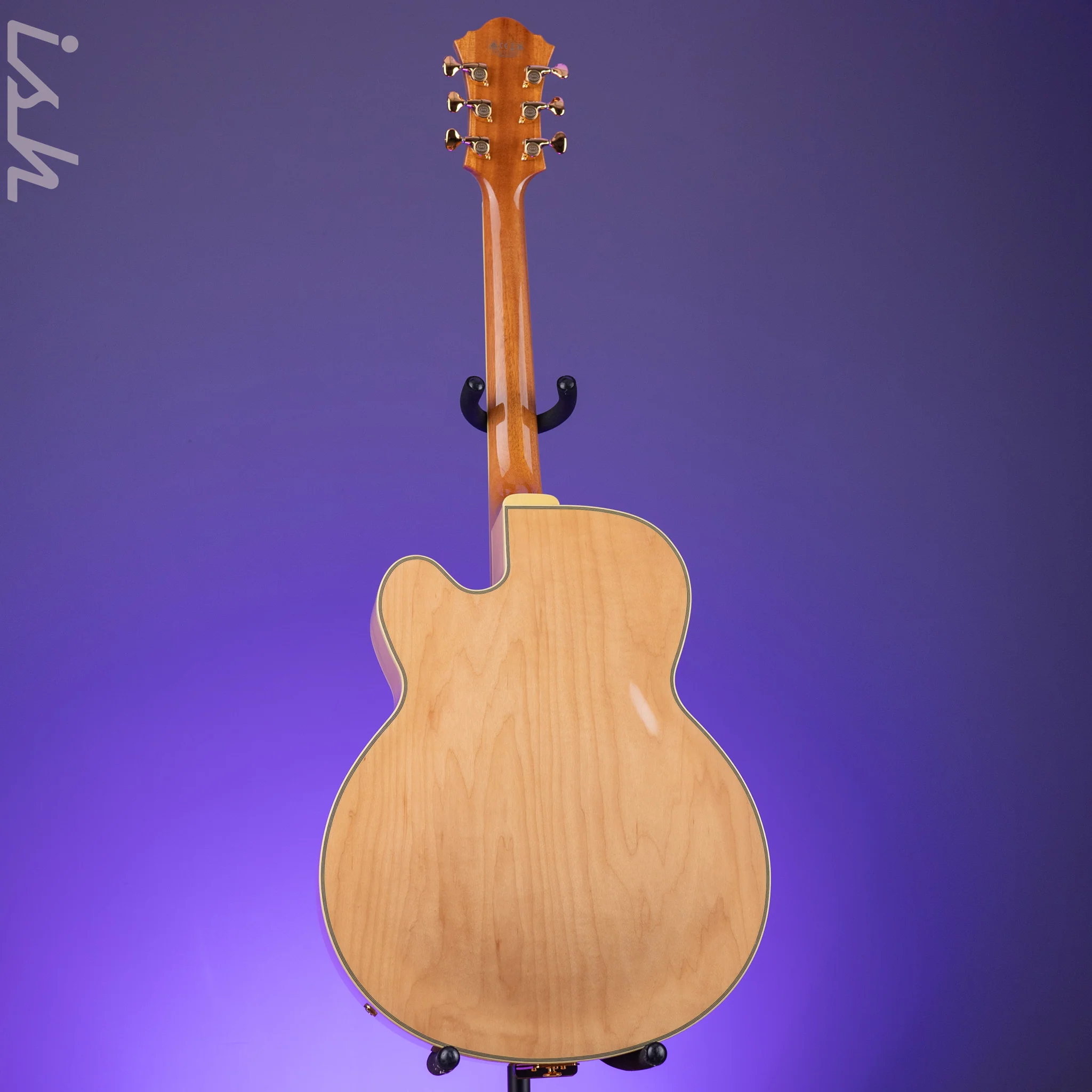 Ibanez PM200 Pat Metheny Signature Hollowbody Natural Demo - Image 6