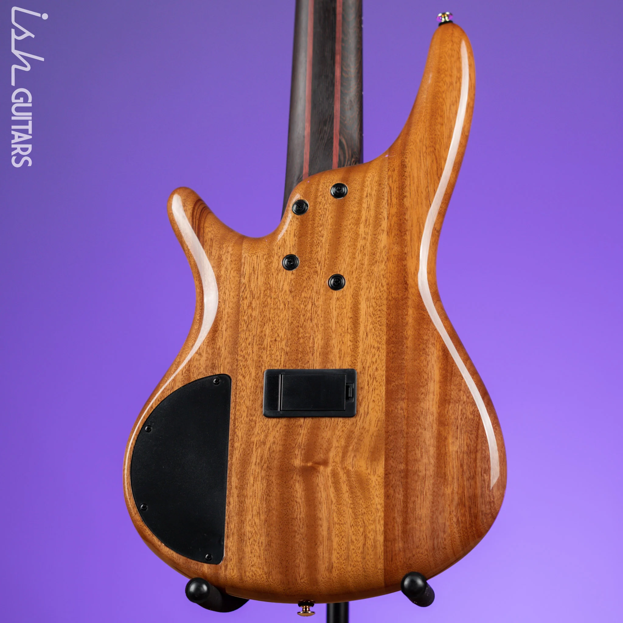 Ibanez Premium SR1605D 5-String Bass Autumn Sunset Sky Demo - Image 7