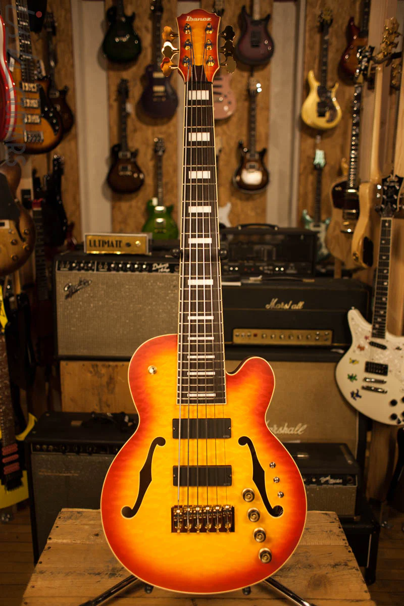 Ibanez TCB1006 Stephen "Thundercat" Bruner Signature Series 6-String Bass Autumn Leaf Burst Matte