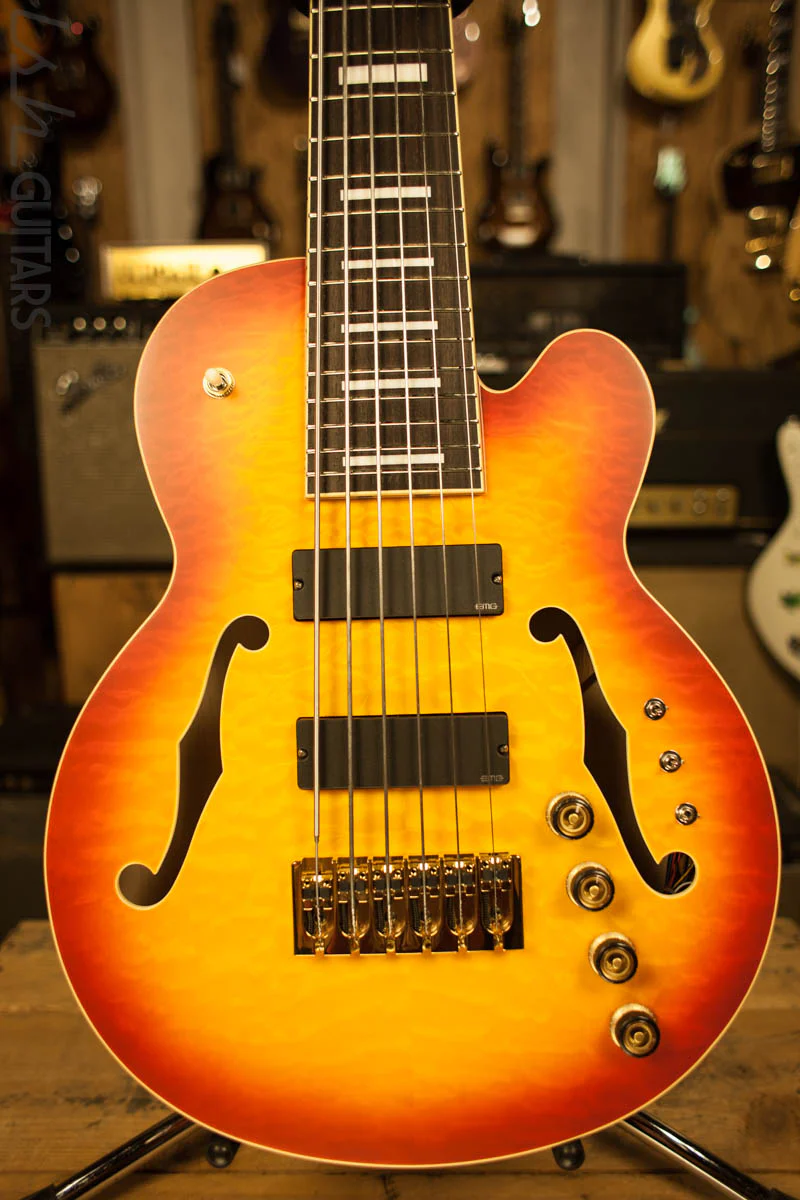 Ibanez TCB1006 Stephen "Thundercat" Bruner Signature Series 6-String Bass Autumn Leaf Burst Matte - Image 2