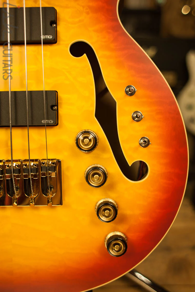 Ibanez TCB1006 Stephen "Thundercat" Bruner Signature Series 6-String Bass Autumn Leaf Burst Matte - Image 4