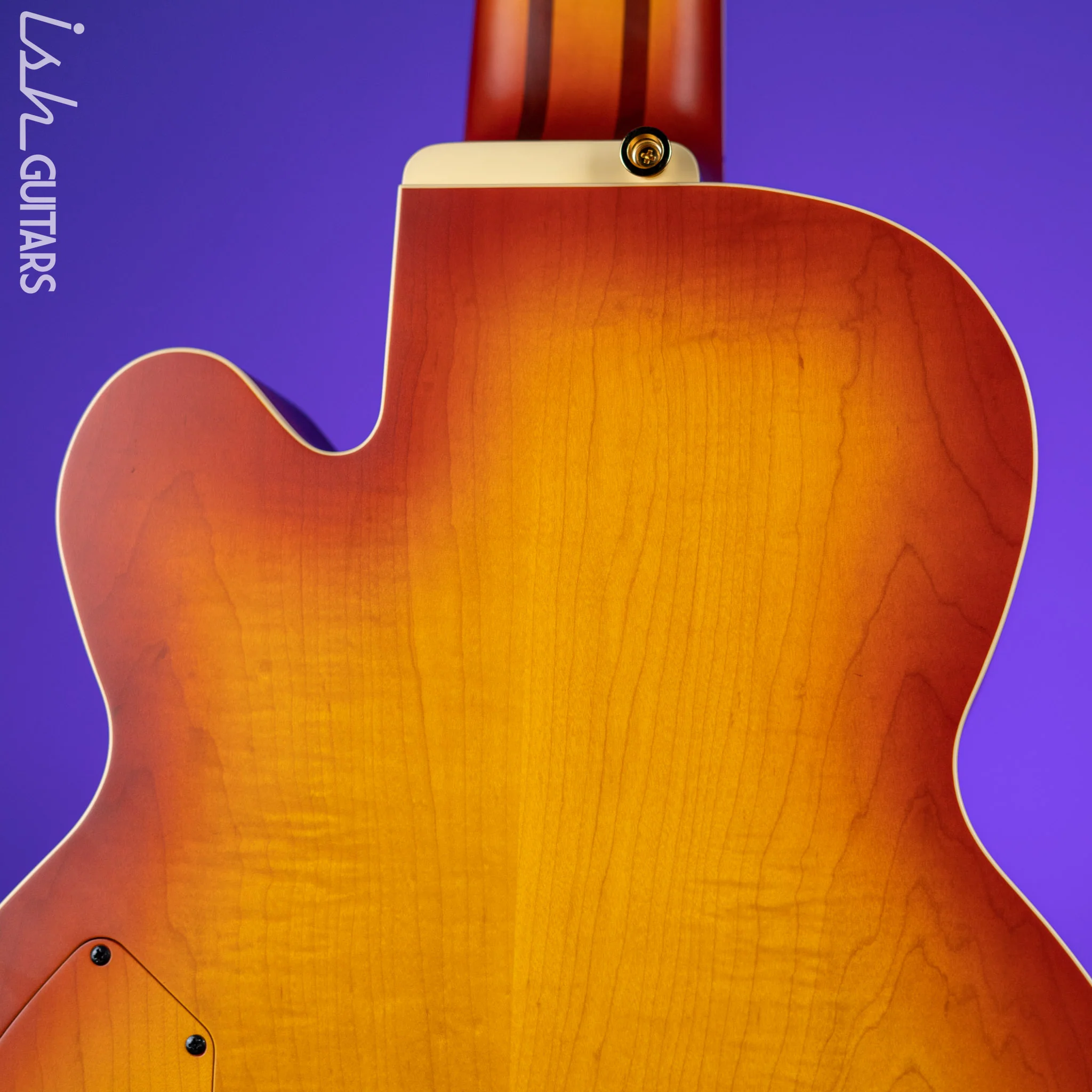 Ibanez TCB1006 Thundercat Signature 6-String Bass Autumn Leaf Burst Matte - Image 8