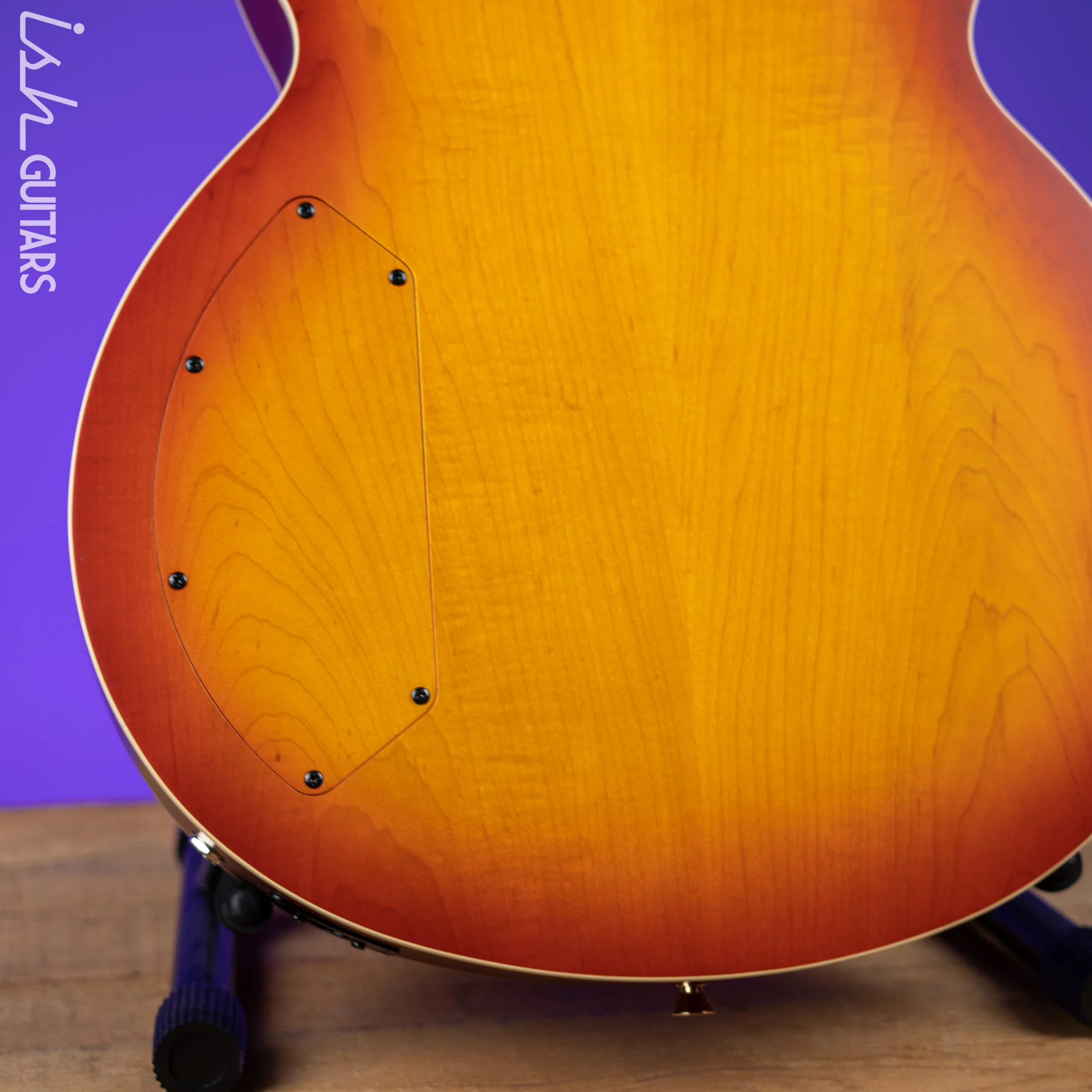 Ibanez TCB1006 Thundercat Signature 6-String Bass Autumn Leaf Burst Matte - Image 9