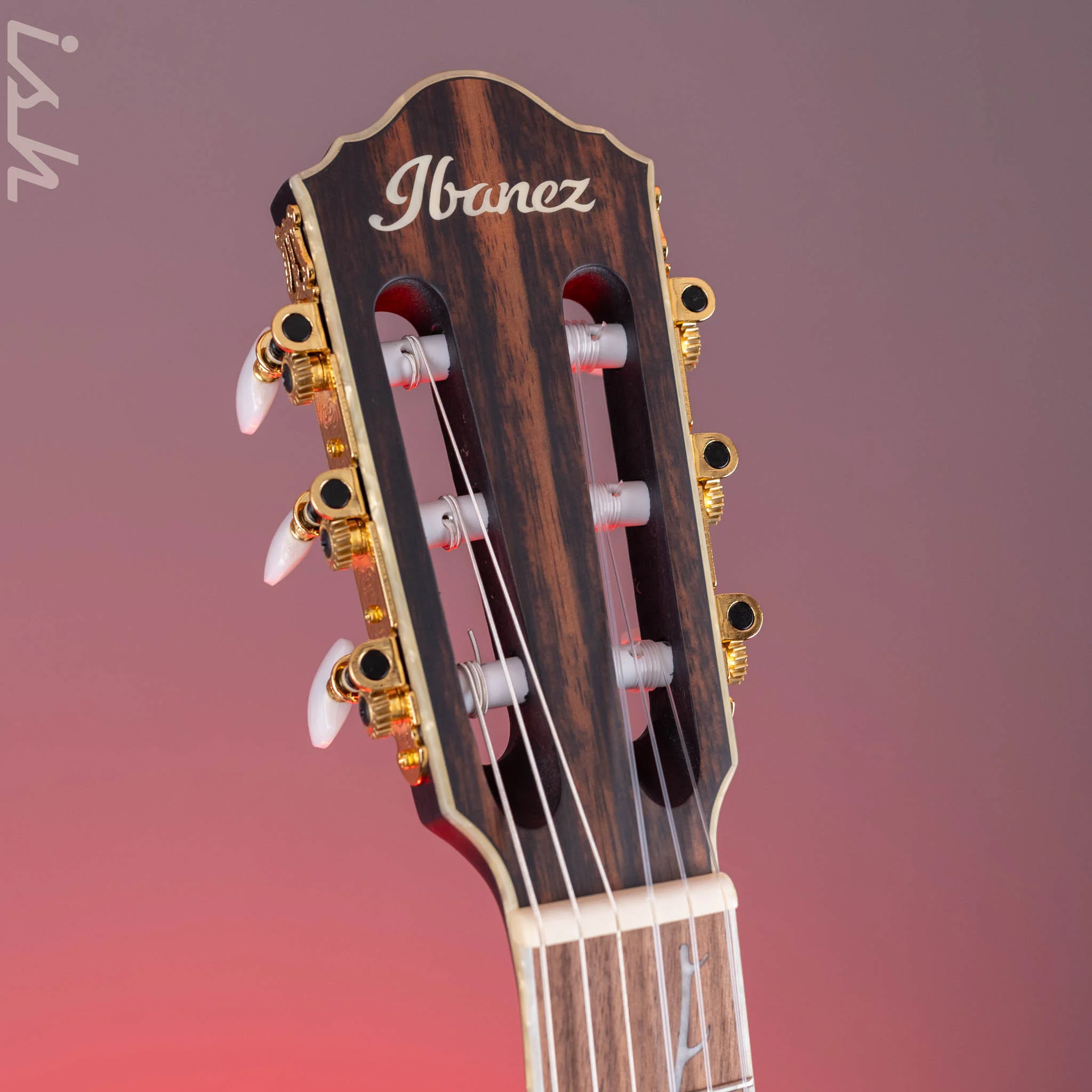Ibanez TOD10N Tim Henson Signature Nylon Acoustic-Electric Guitar Transparent Black Flat - Image 5